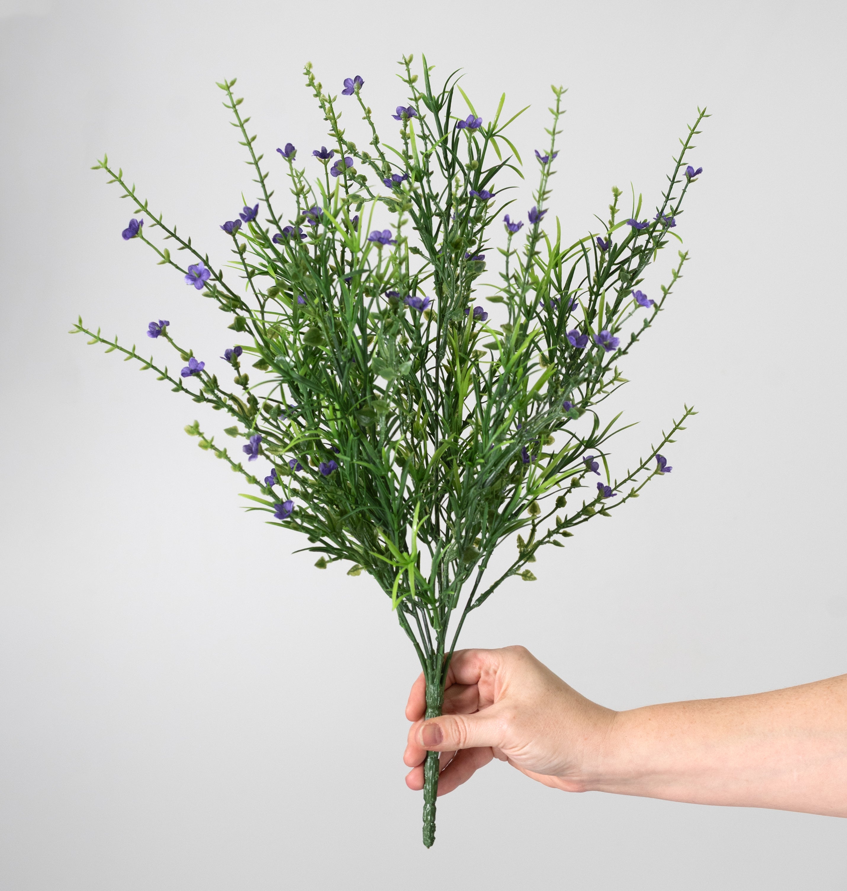 21" Mixed Forget-Me-Not Bush: Purple