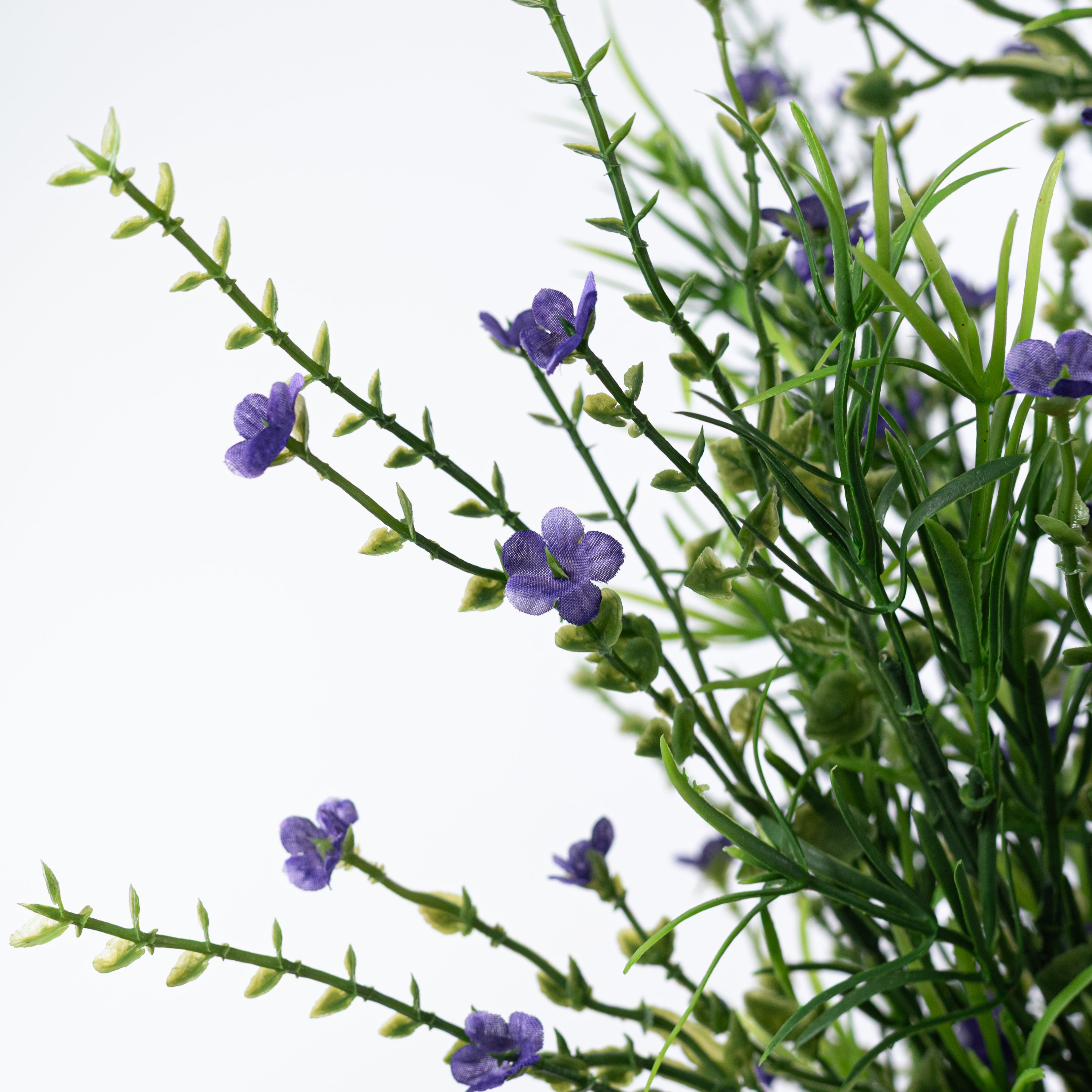 21" Mixed Forget-Me-Not Bush: Purple