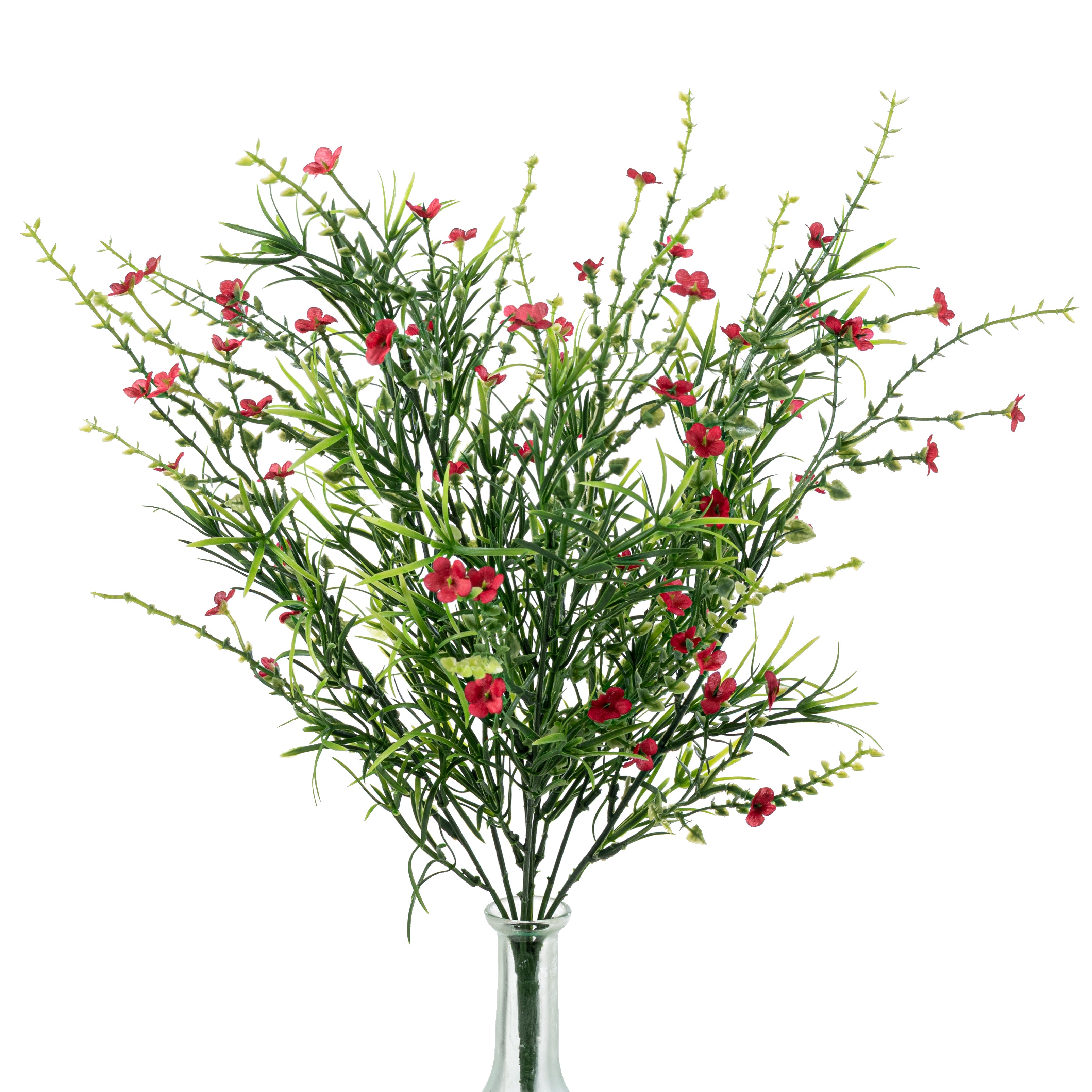21" Mixed Forget-Me-Not Bush: Red