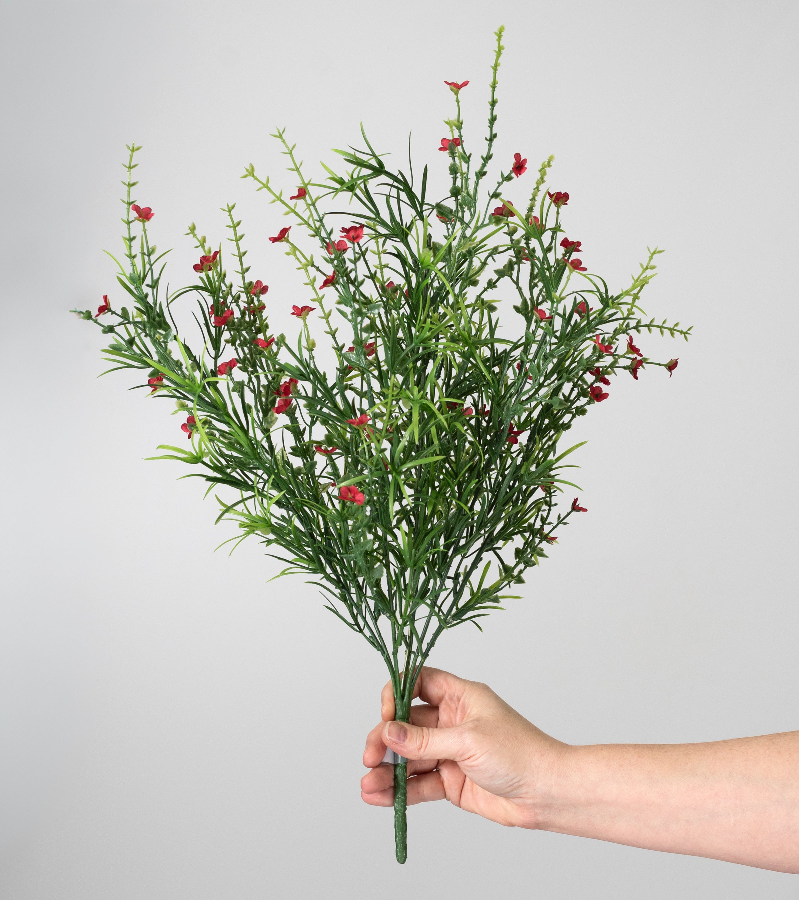 【美品】The Bush 5'4\