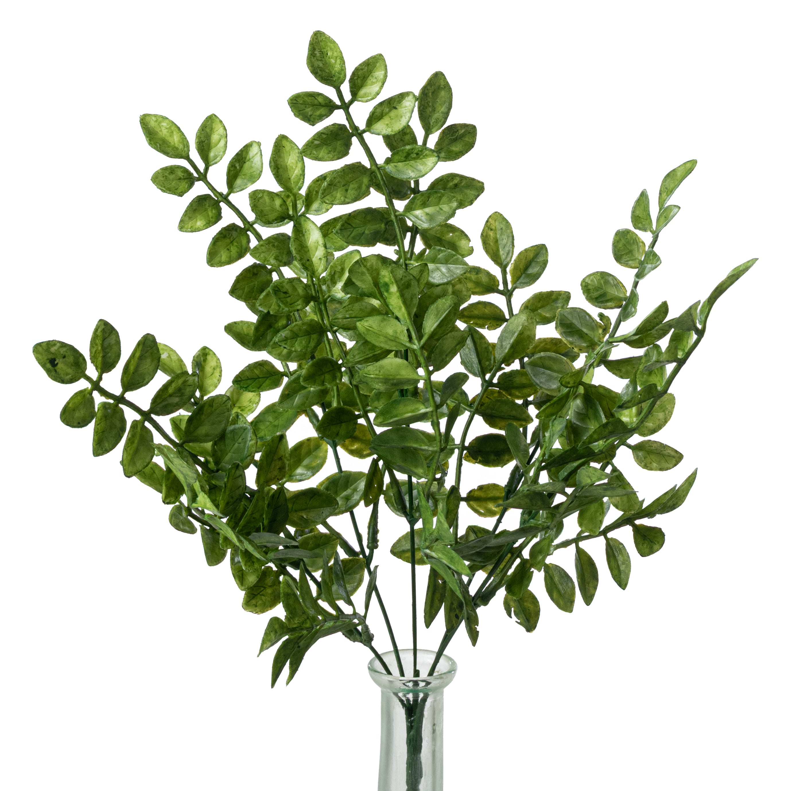 15" Plastic Wisteria Leaves Bush (5 Stem)