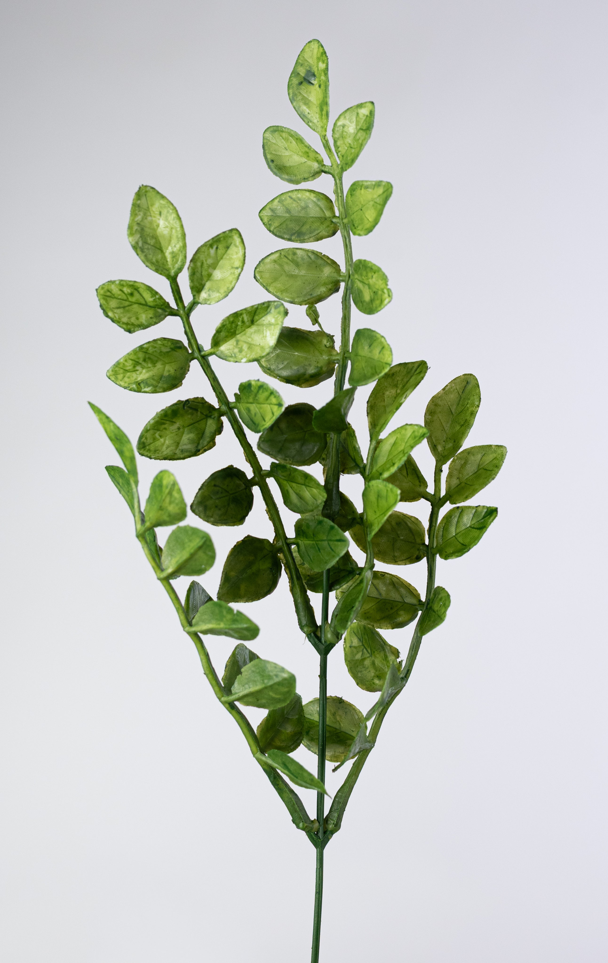 15" Plastic Wisteria Leaves Bush (5 Stem)