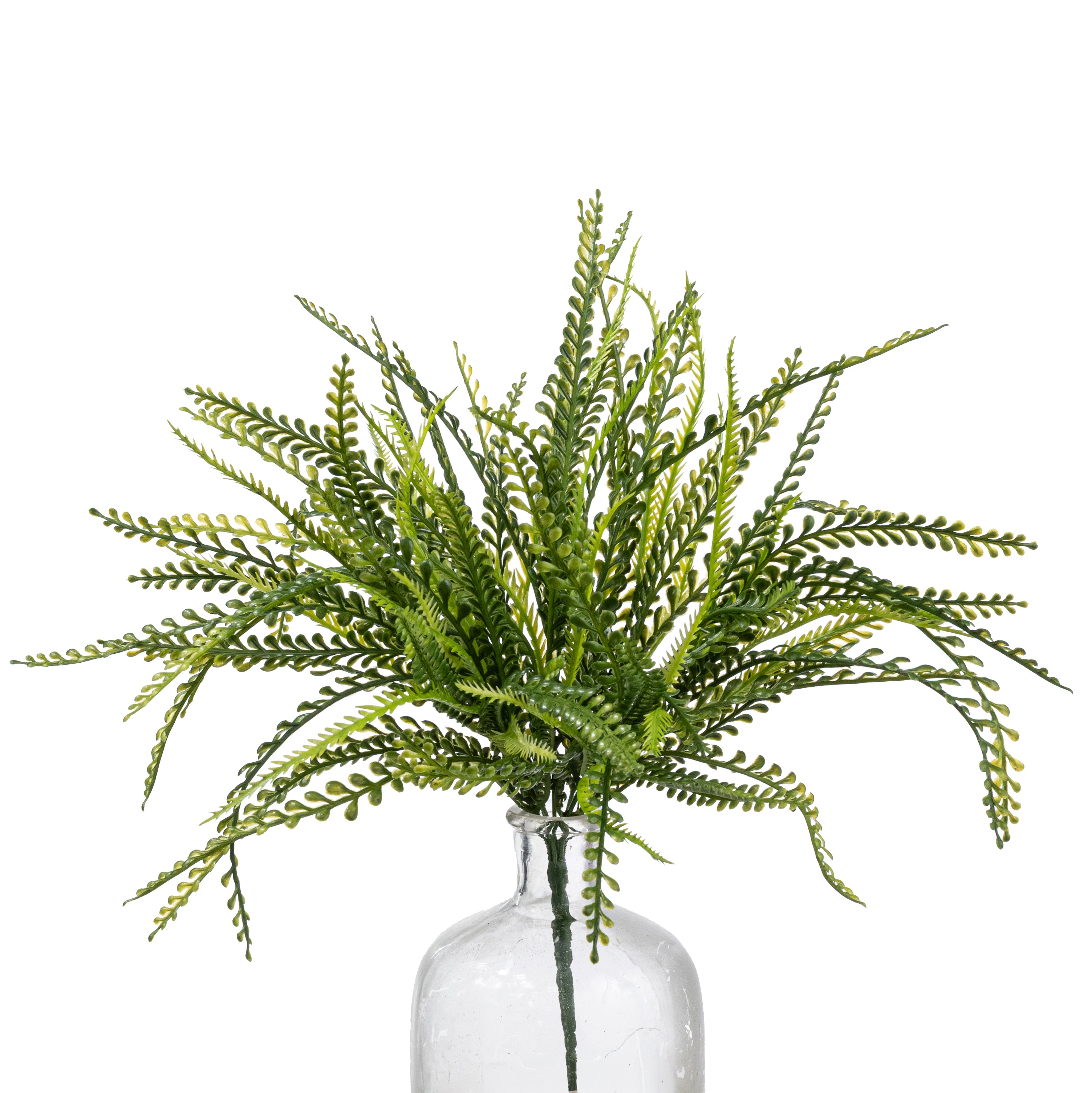 19" Button Fern Bush: Two Tone Green (7 Stem)