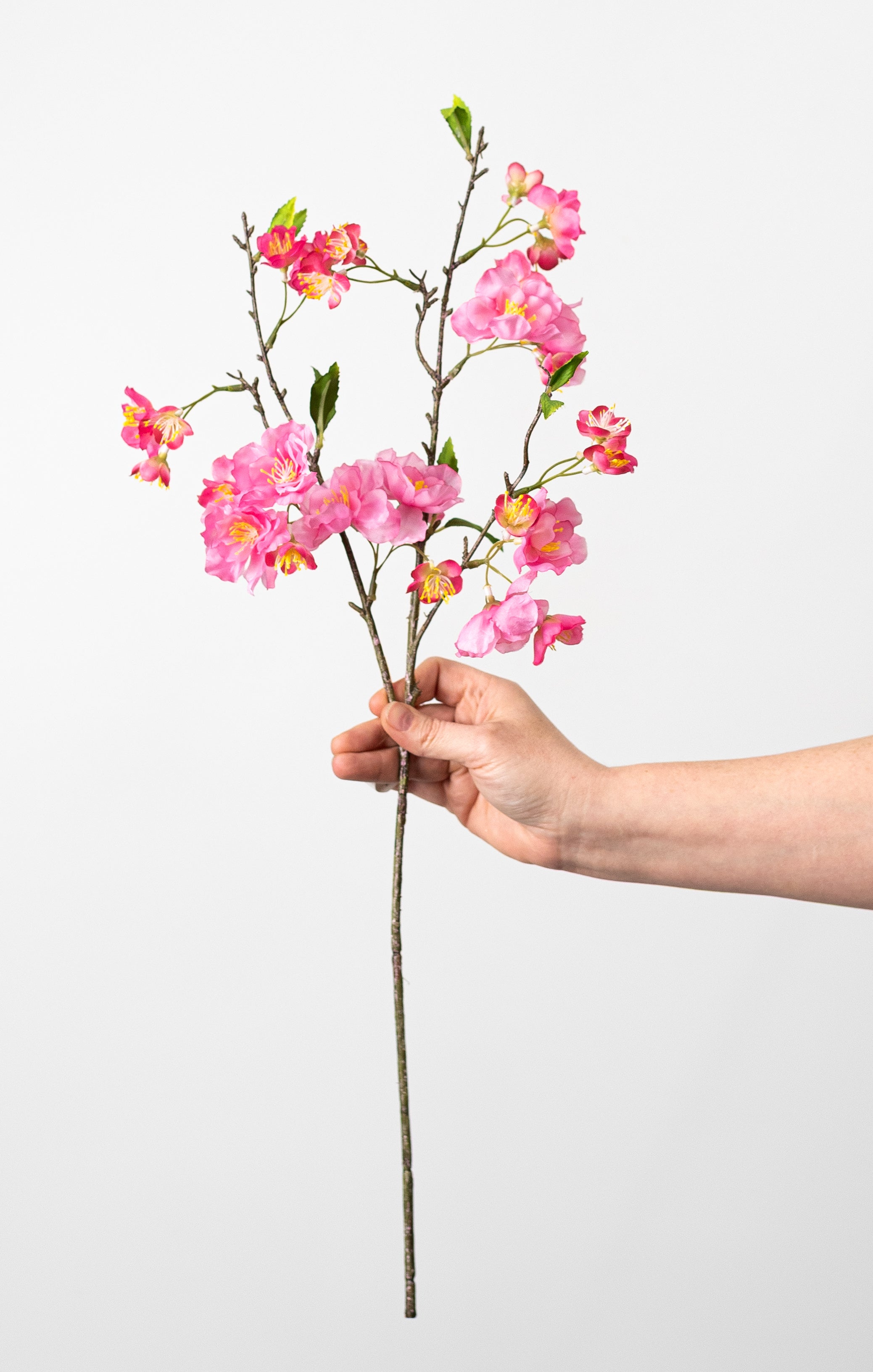 24" Artificial Cherry Blossom Spray: Hot Pink