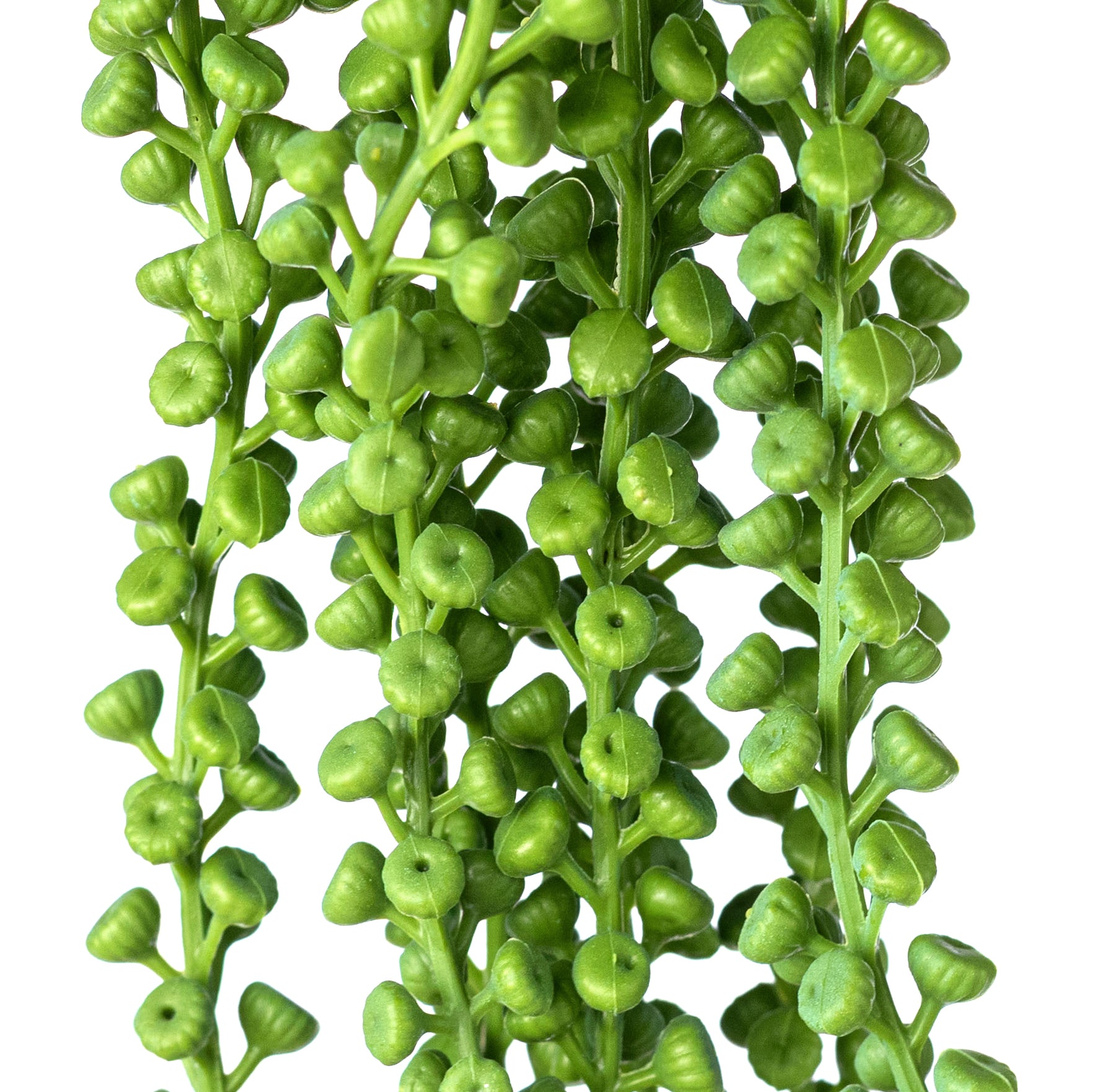 33" Draping Succulents Spray: Green