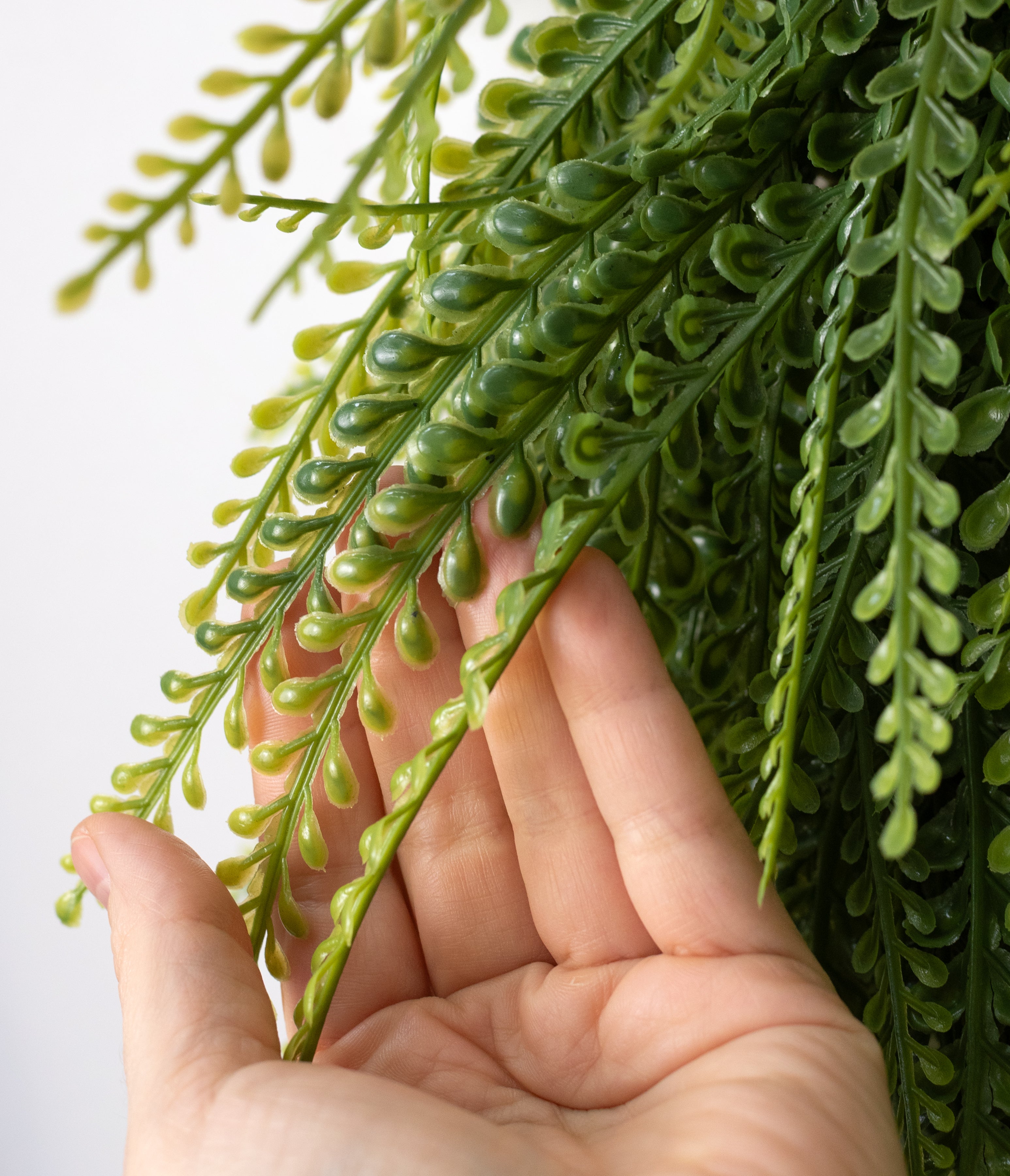 26" x 17" Draping Button Fern Wreath