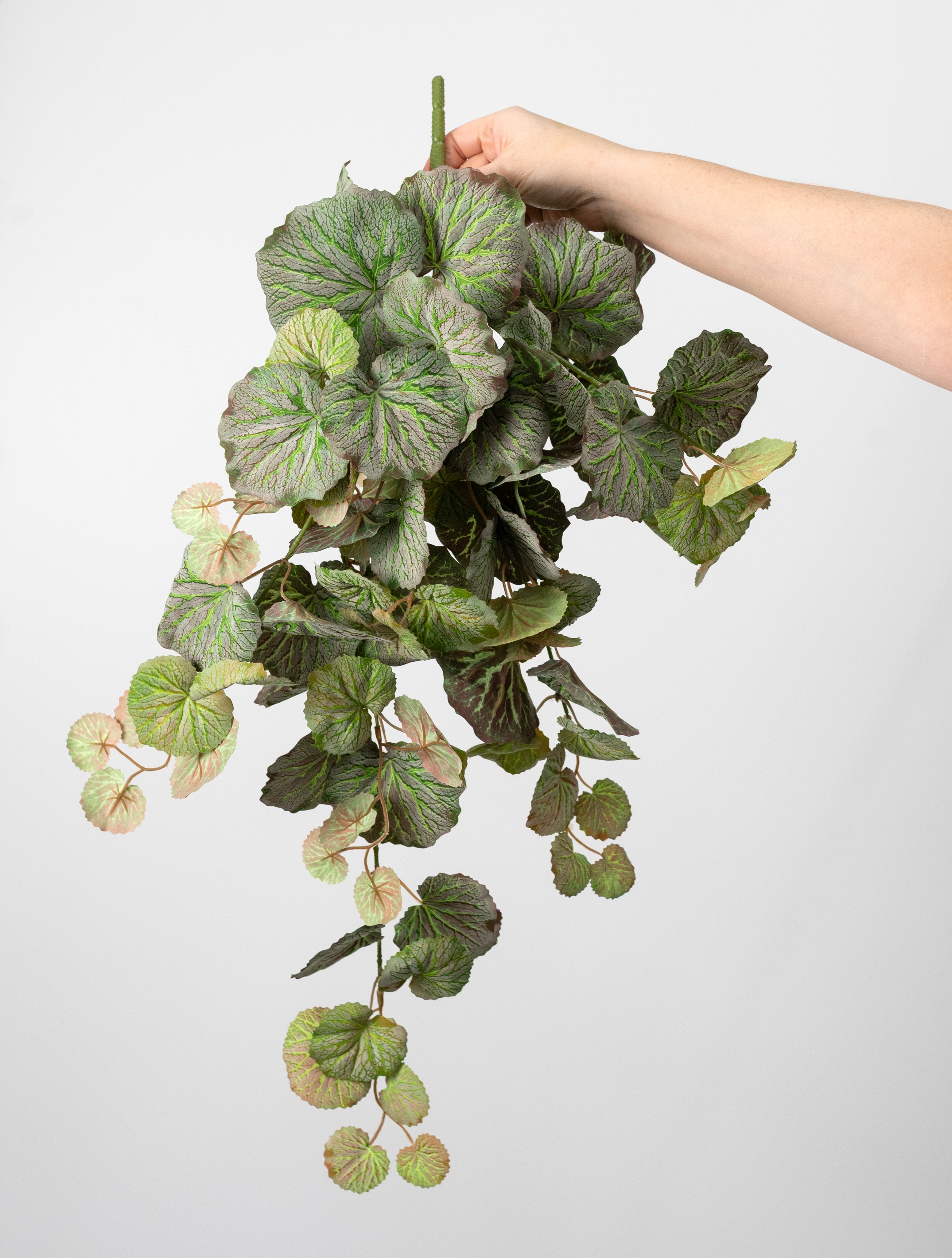 28" Dusted Artificial Begonia Hanging Bush: Variegated Green