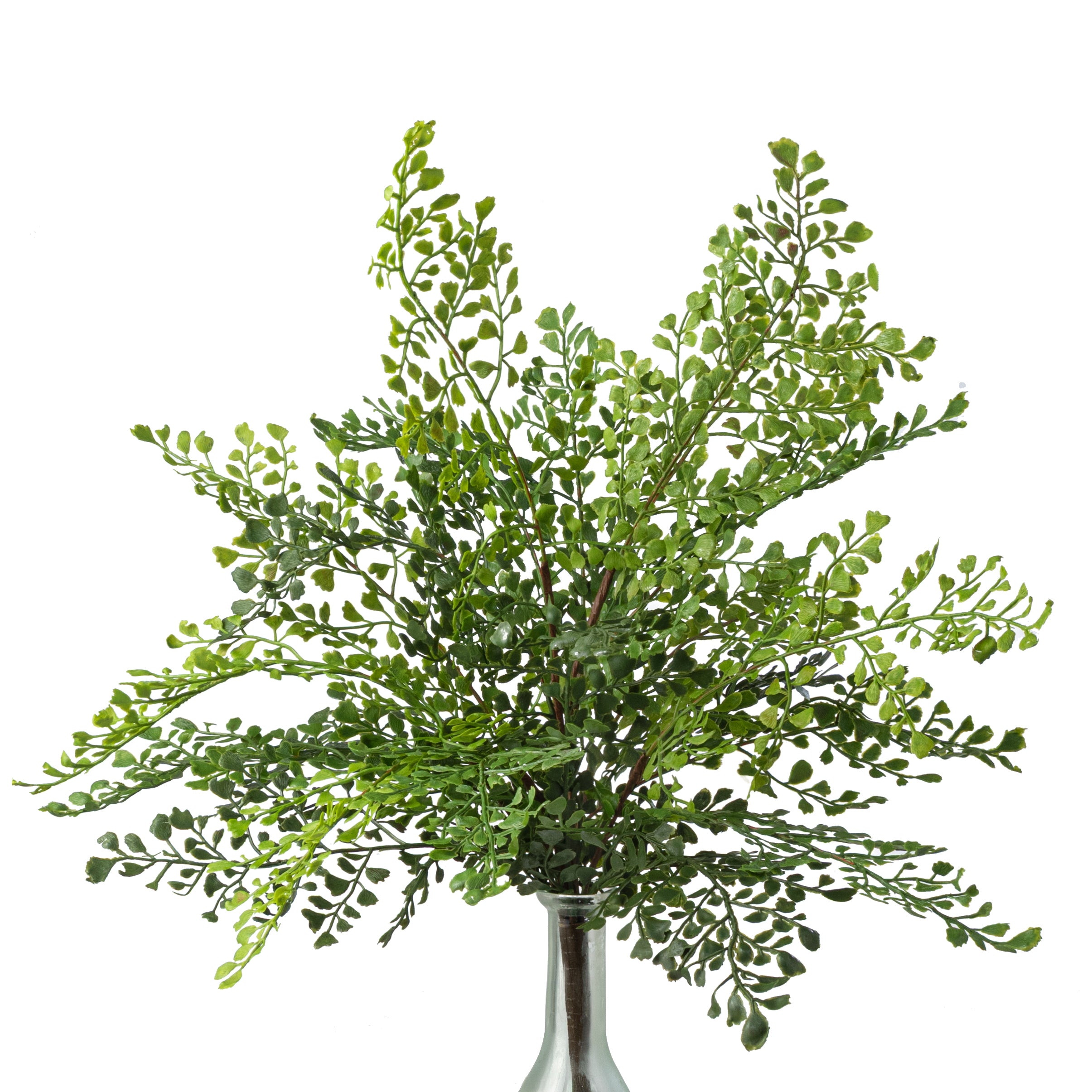 19" Soft Touch Maidenhair Fern Bush: Green