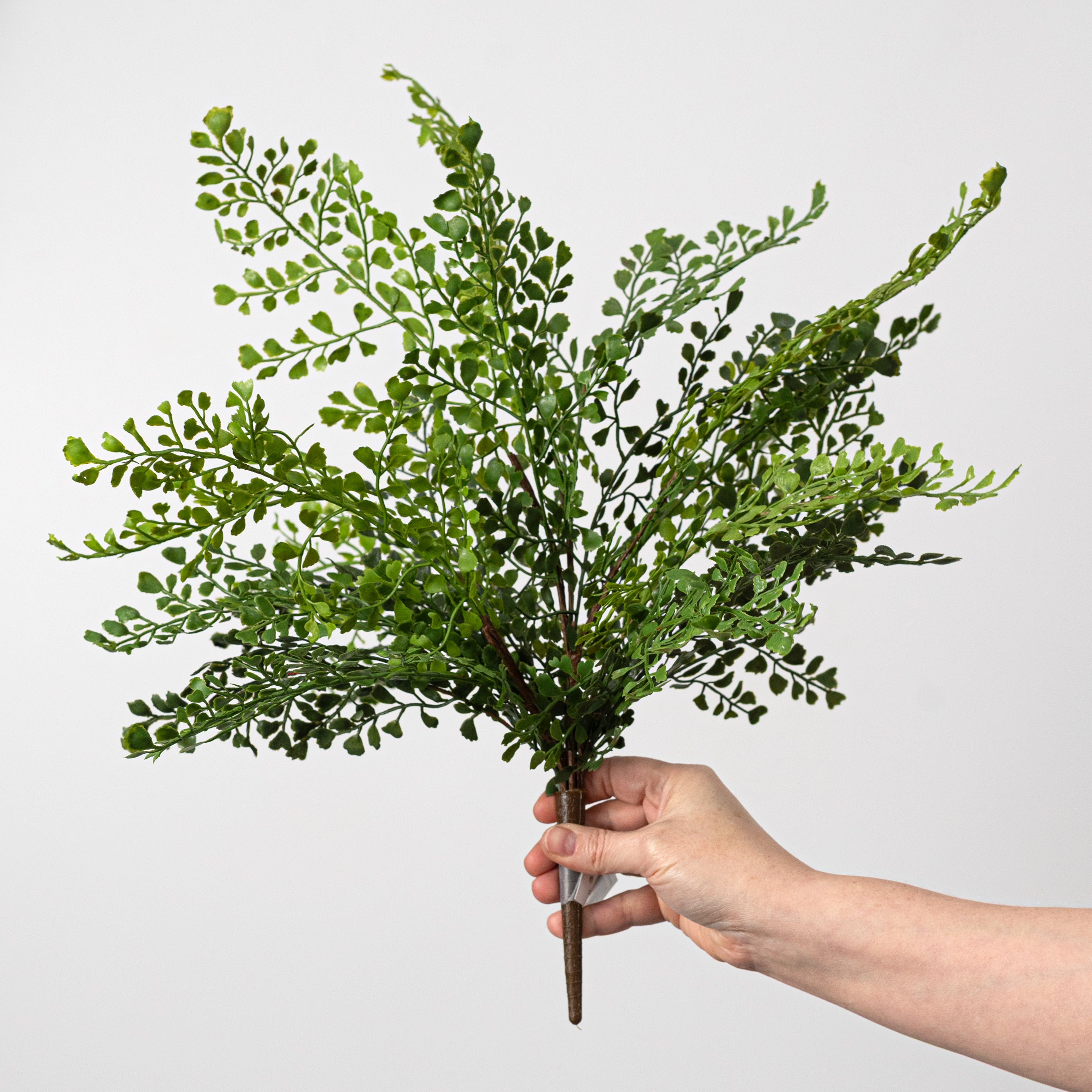 19" Soft Touch Maidenhair Fern Bush: Green