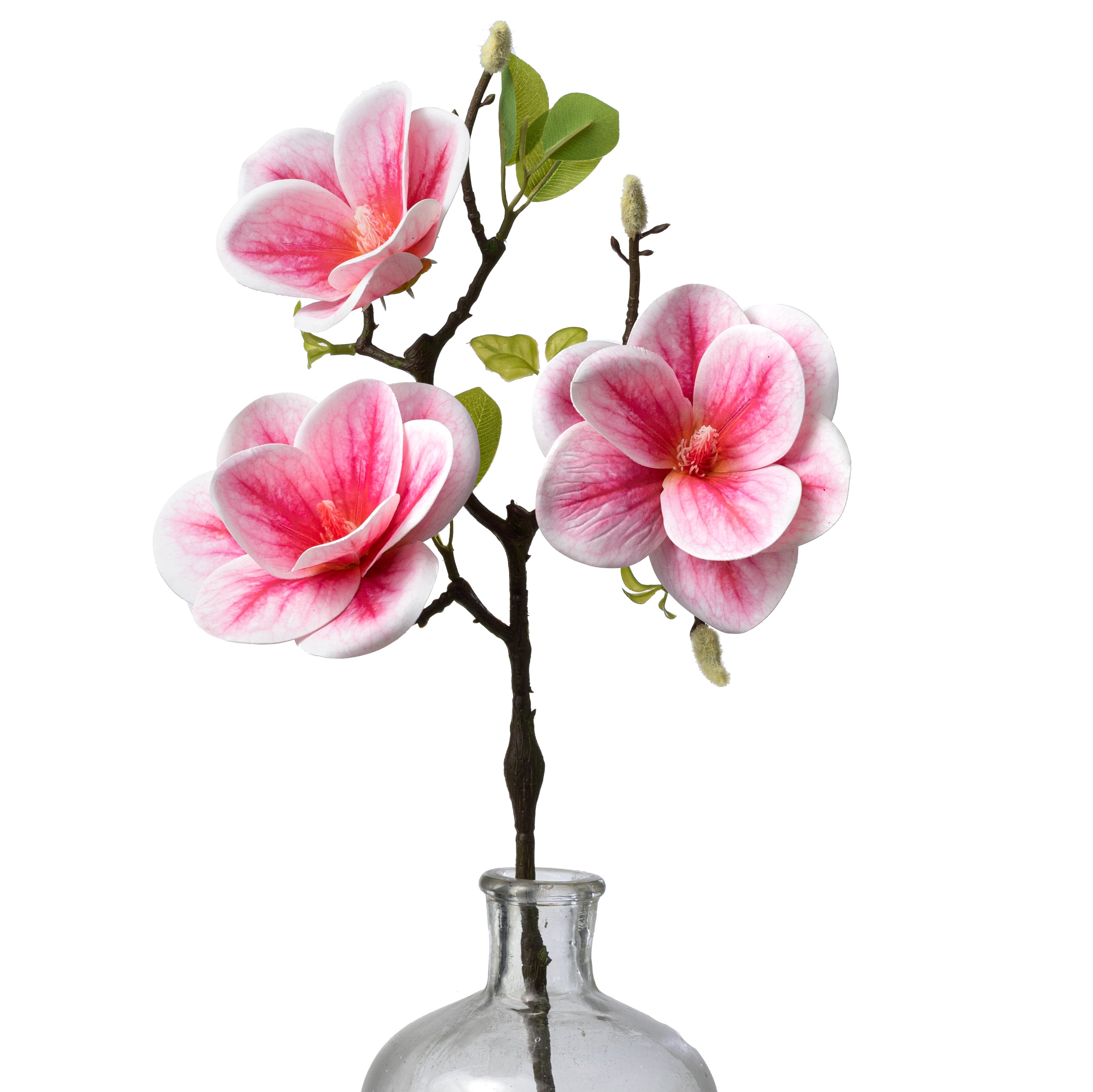 21" Soft Touch Magnolias & Buds Spray: Cream & Beauty Pink