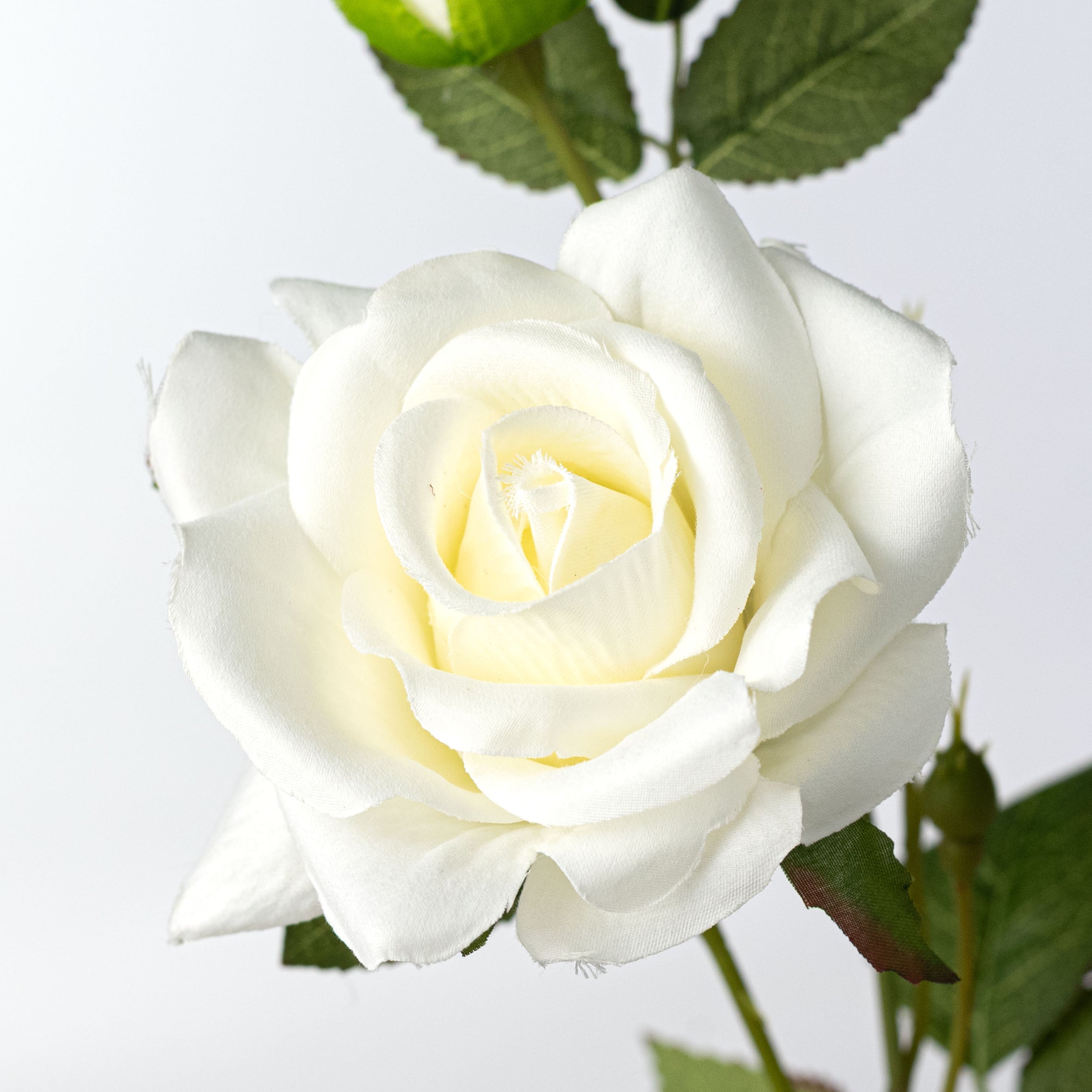 24" Luxe Velvet Roses Spray: White