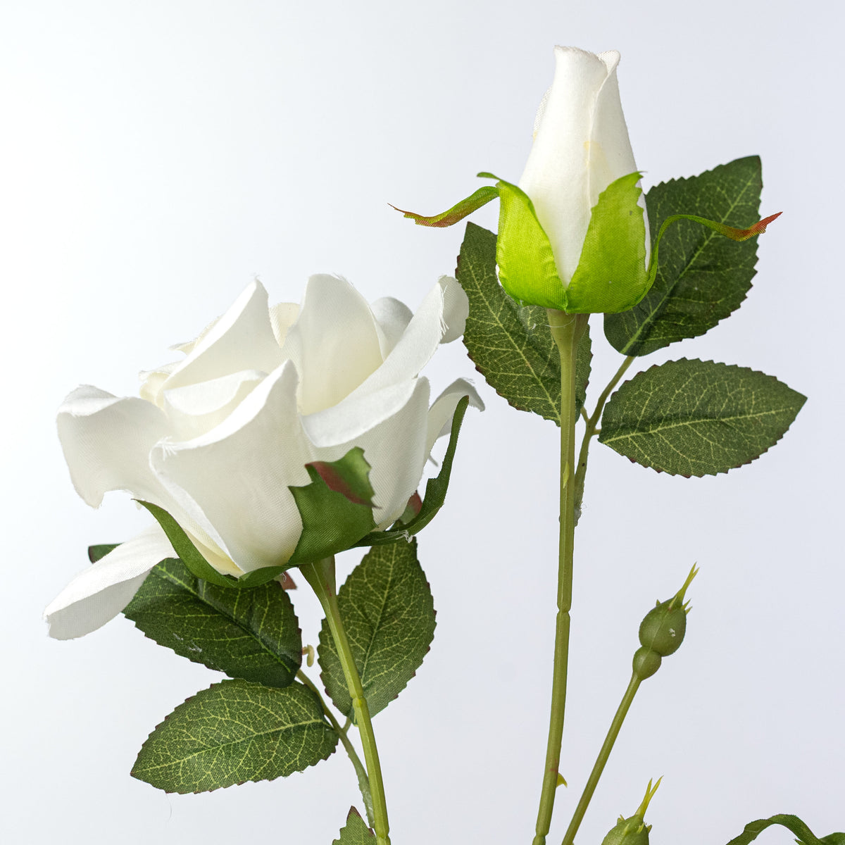 24" Luxe Velvet Roses Spray: White