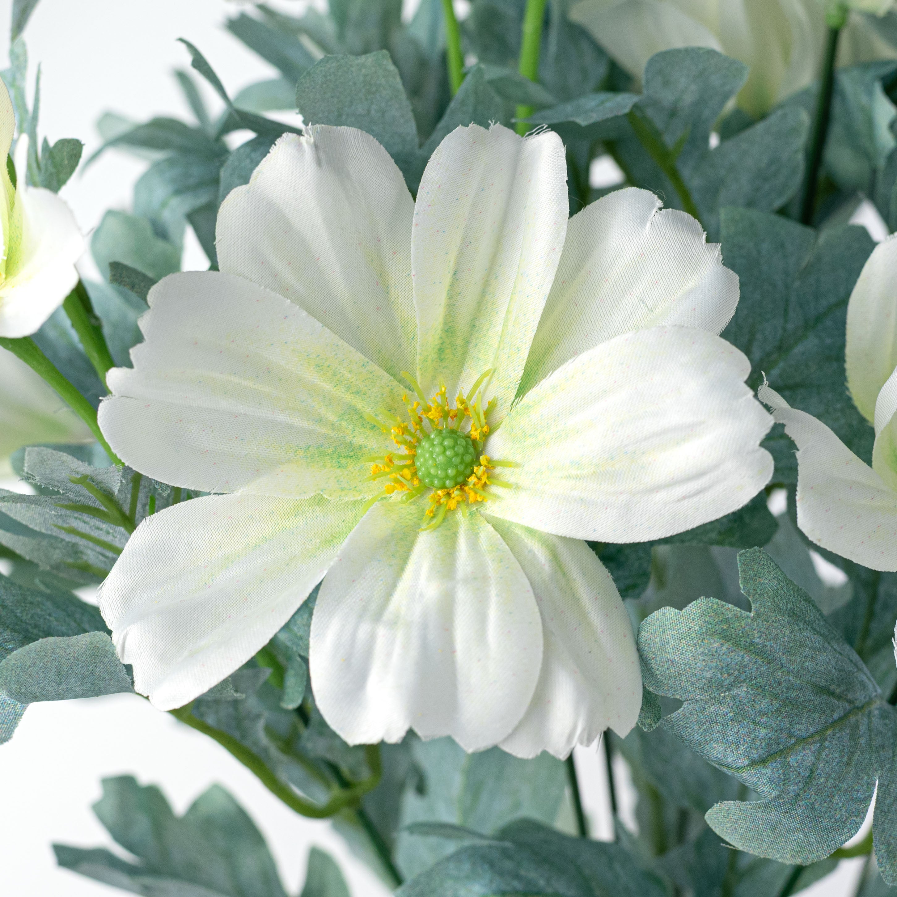 22" Cosmos Bush: Cream (12 Stem)