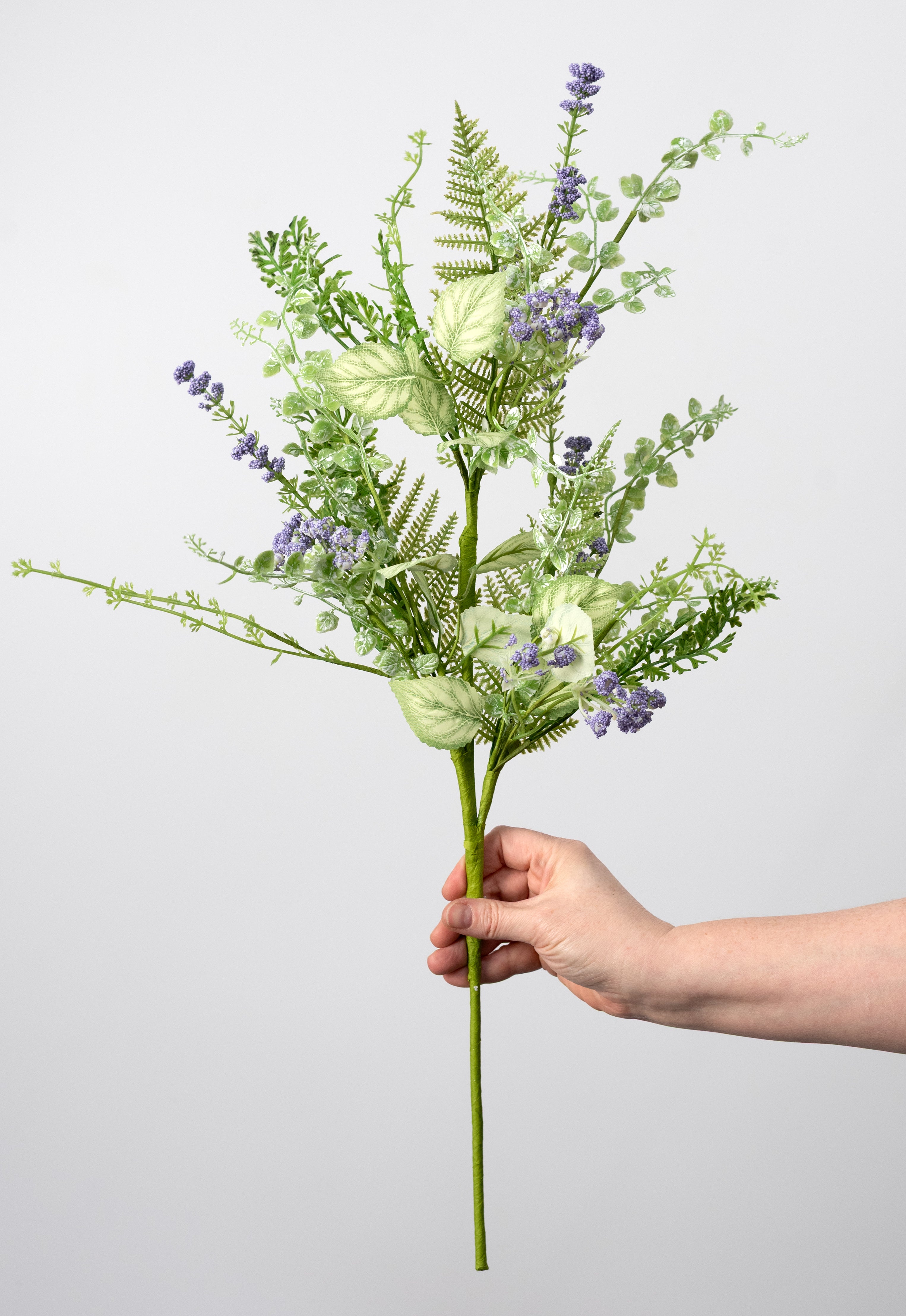 mixed lavender plants Lavender Fern Leaves Spray