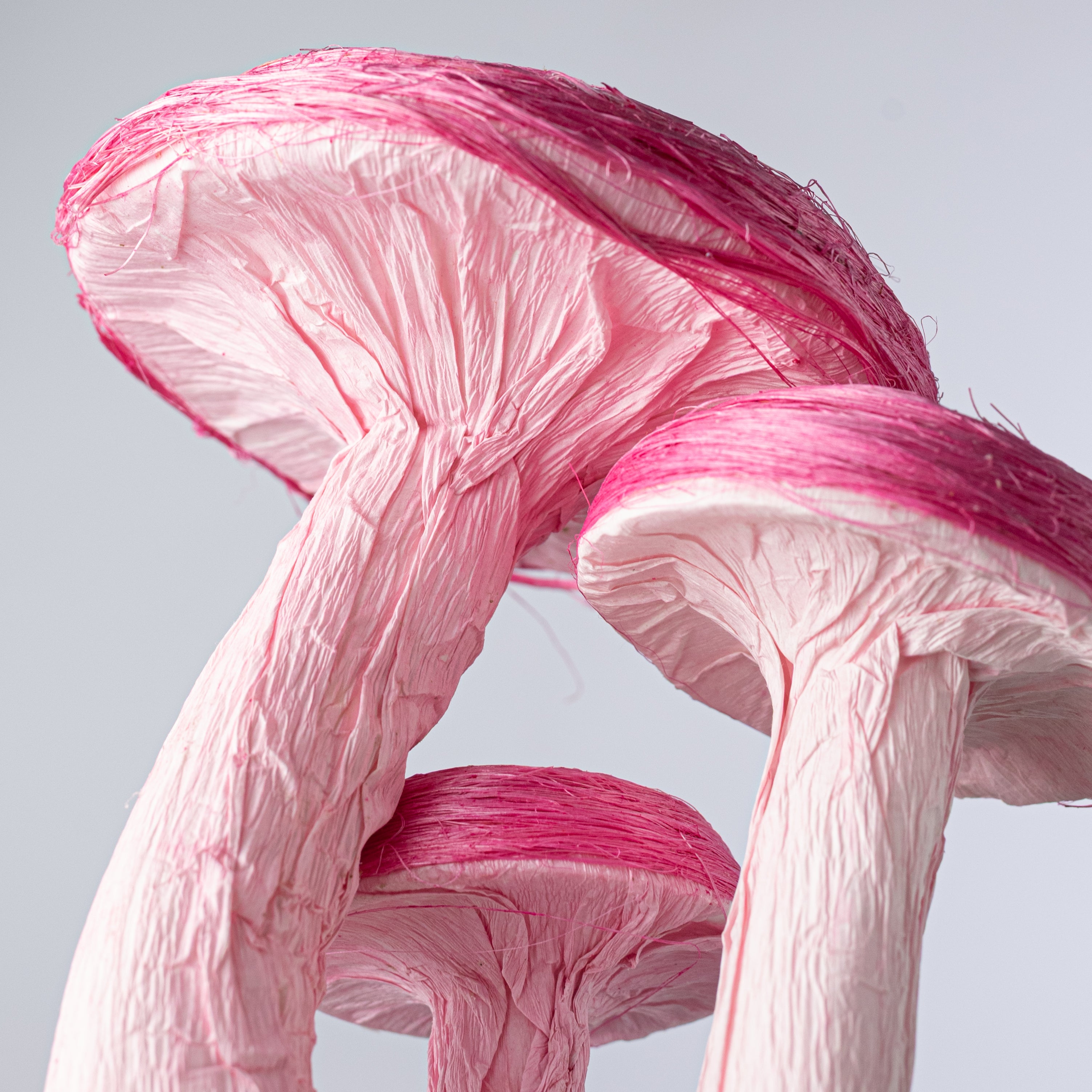 12" Sisal Mushroom Decor: Beauty Pink