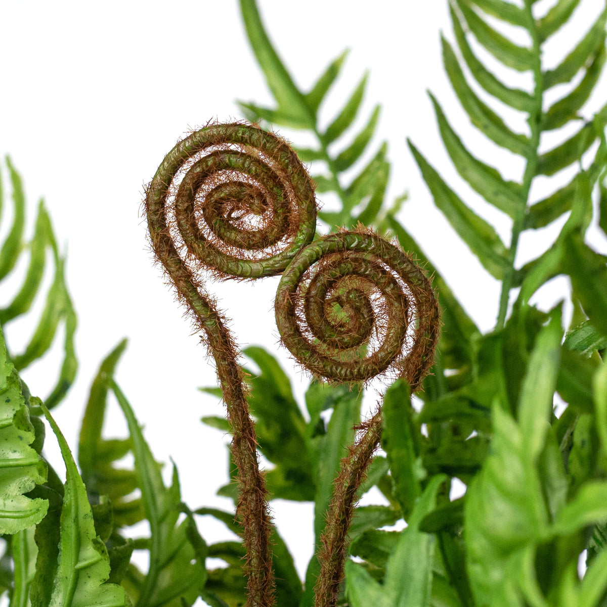 16" Plastic Fern & Fronds Bush: Spring Green