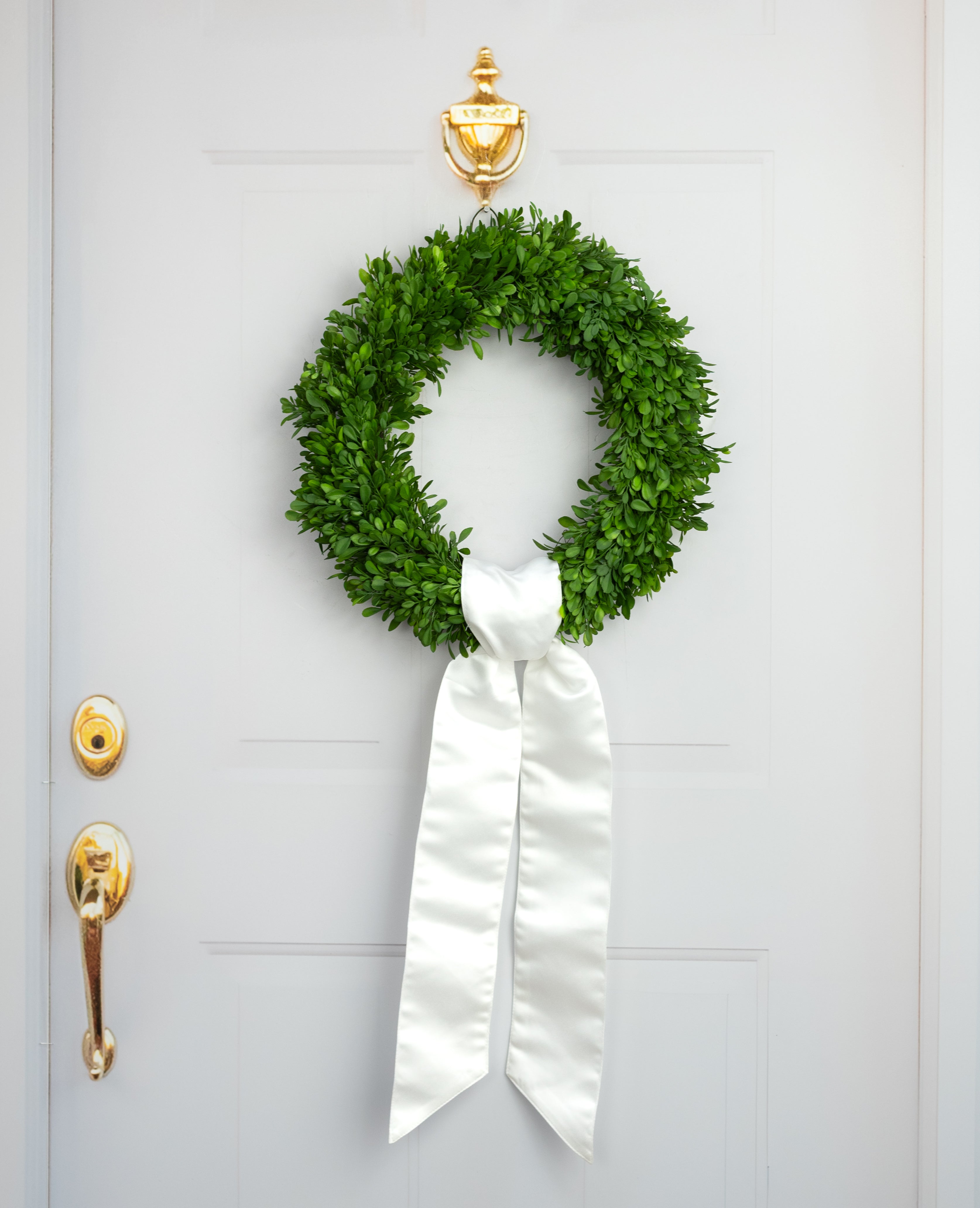 [D Stevens] 4" x 56" Satin Wreath Sash: Winter White