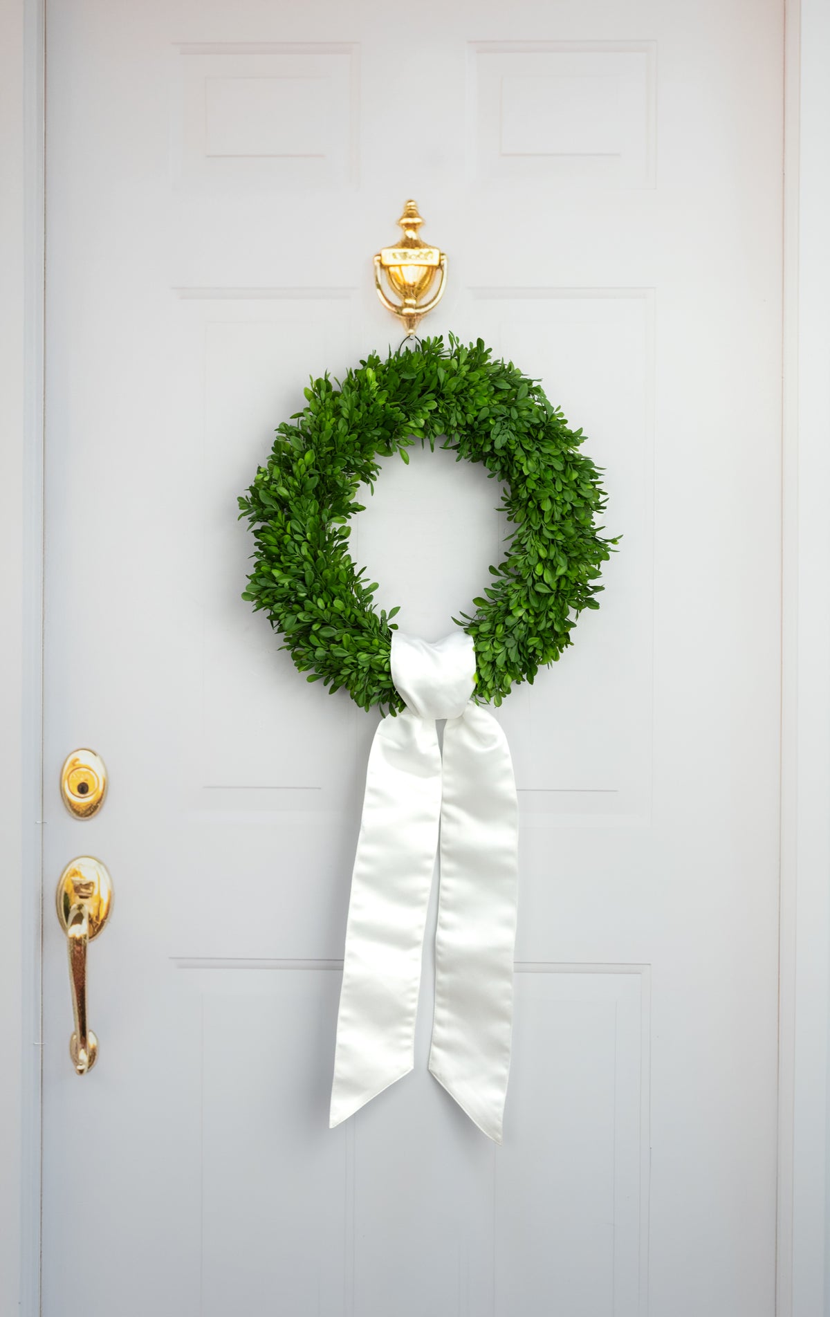 [D Stevens] 4" x 56" Satin Wreath Sash: Winter White