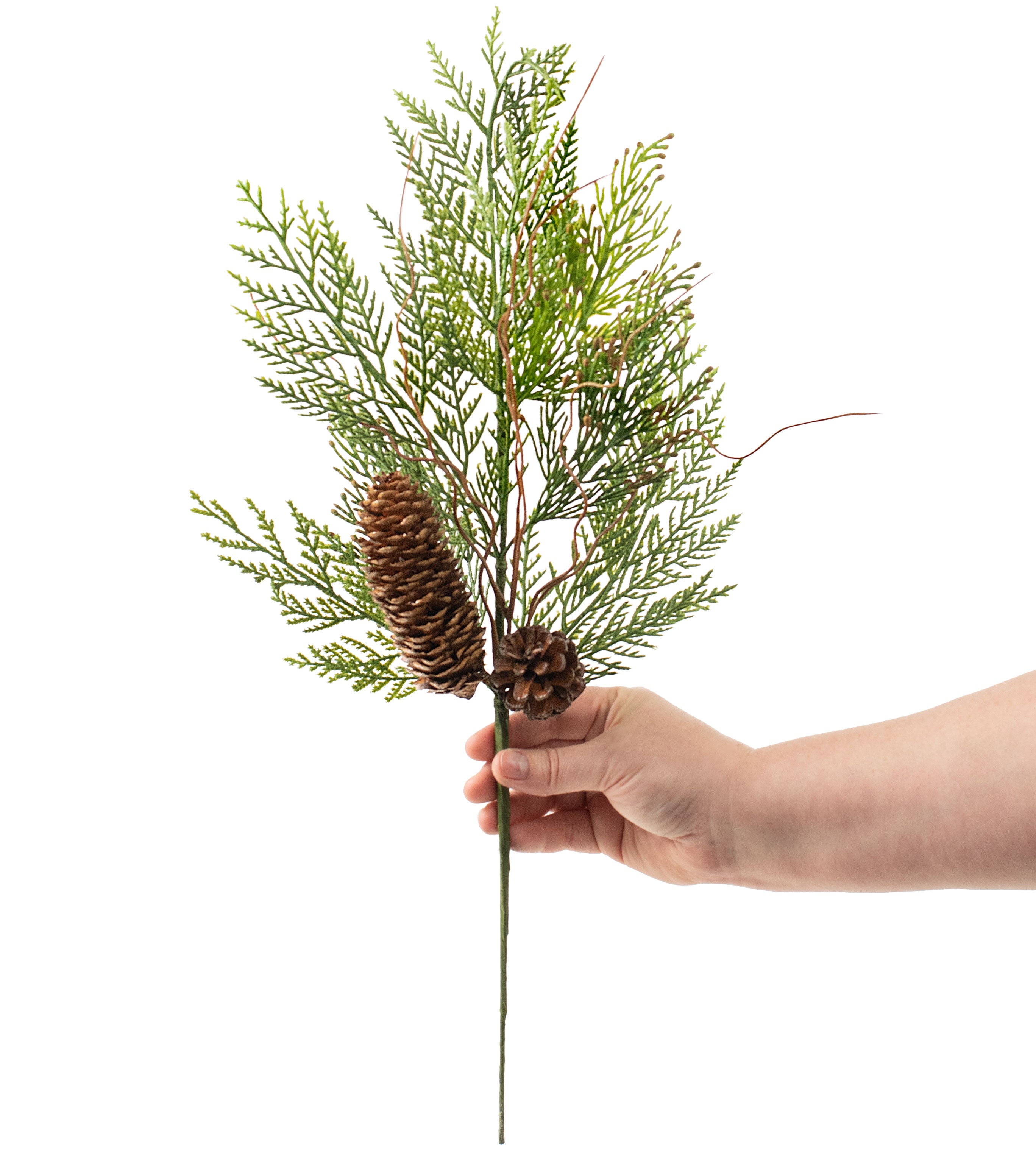 22" Incense Cedar & Cone Spray detail photo 3