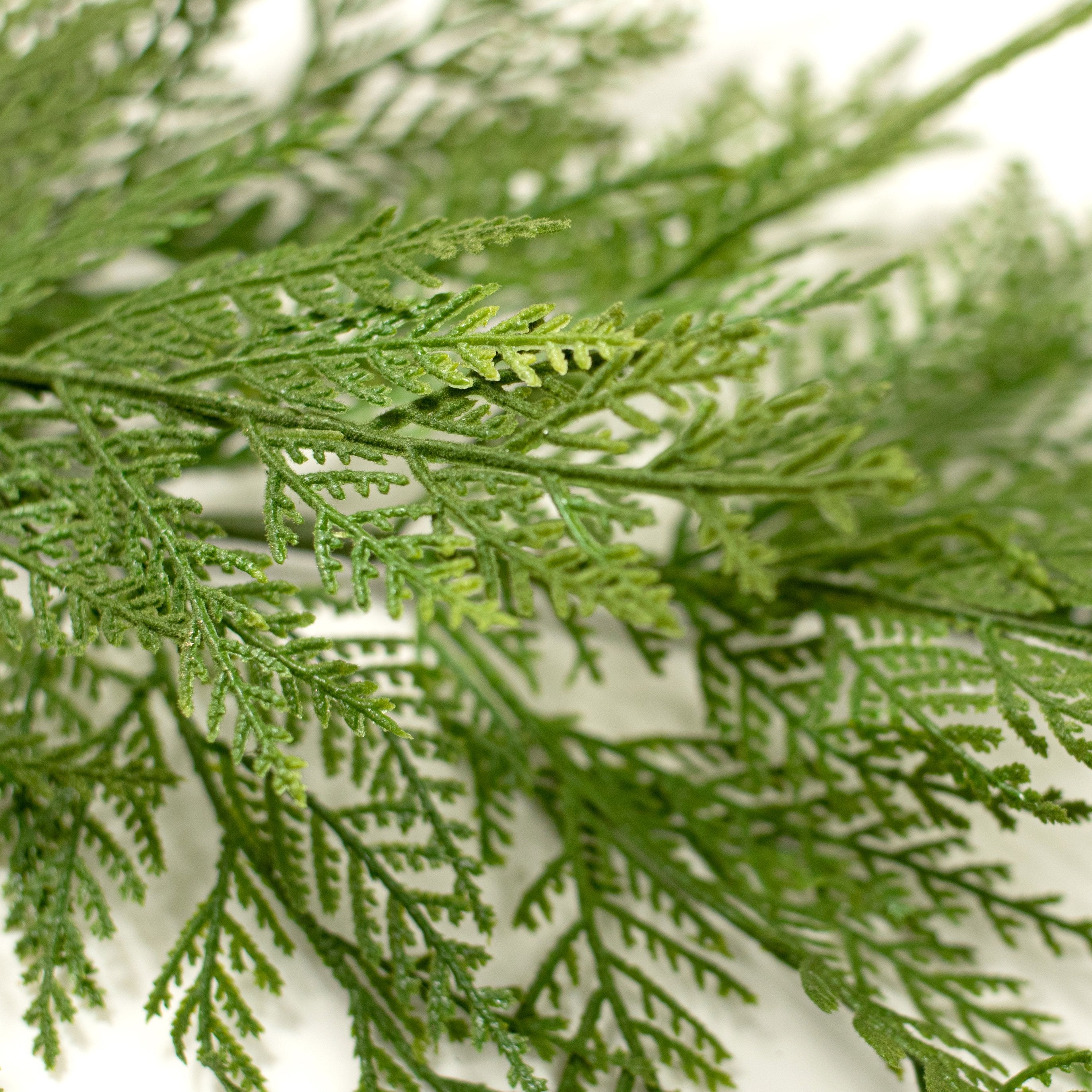 25" Incense Cedar Spray Lifestyle Photo