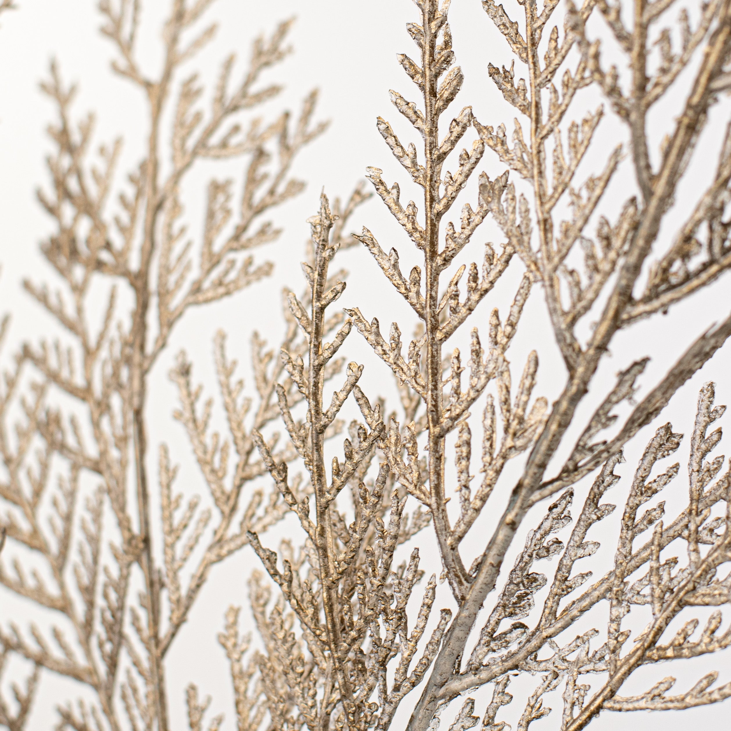 24" Incense Cedar Spray: Champagne Lifestyle Photo