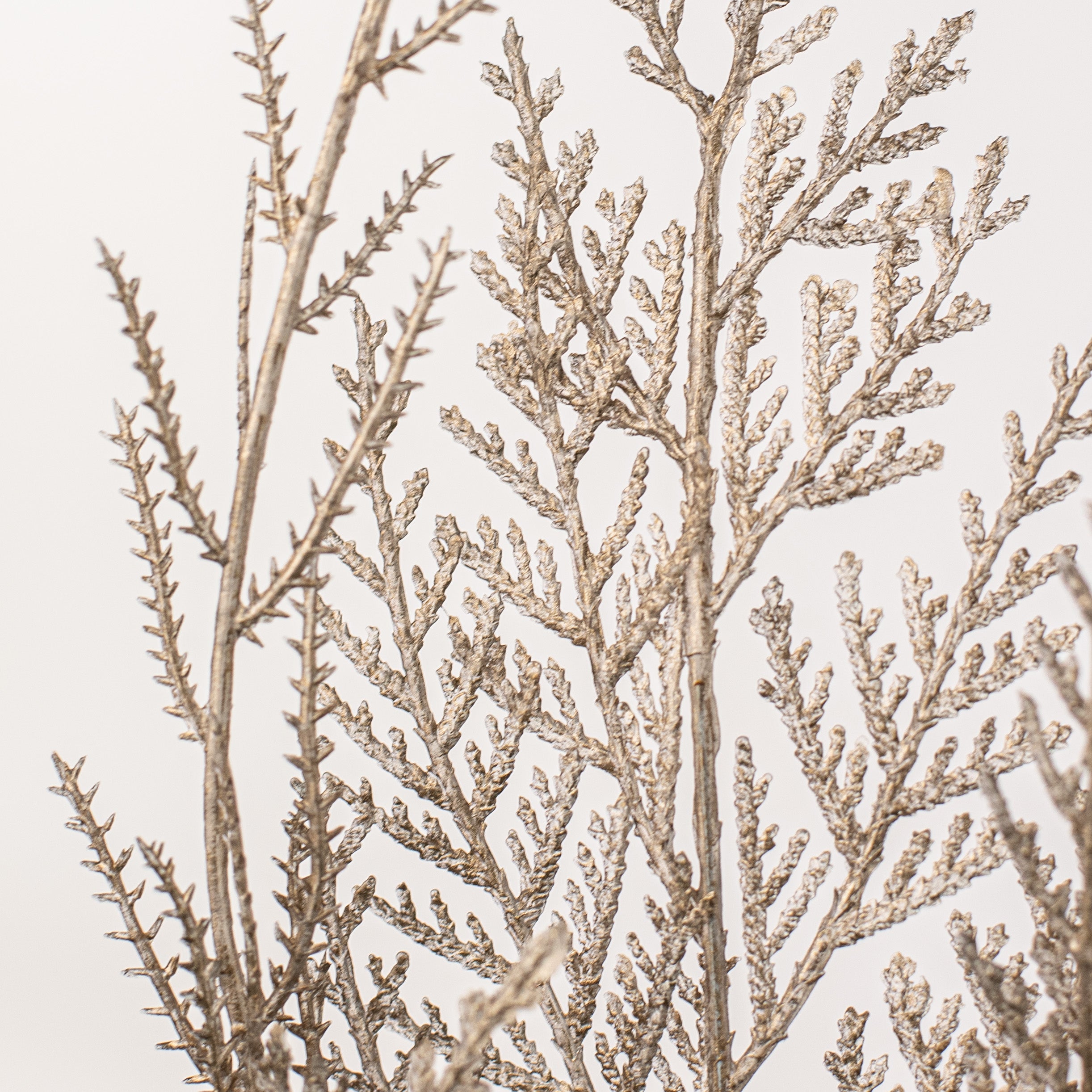 24" Incense Cedar Spray: Champagne detail photo 4
