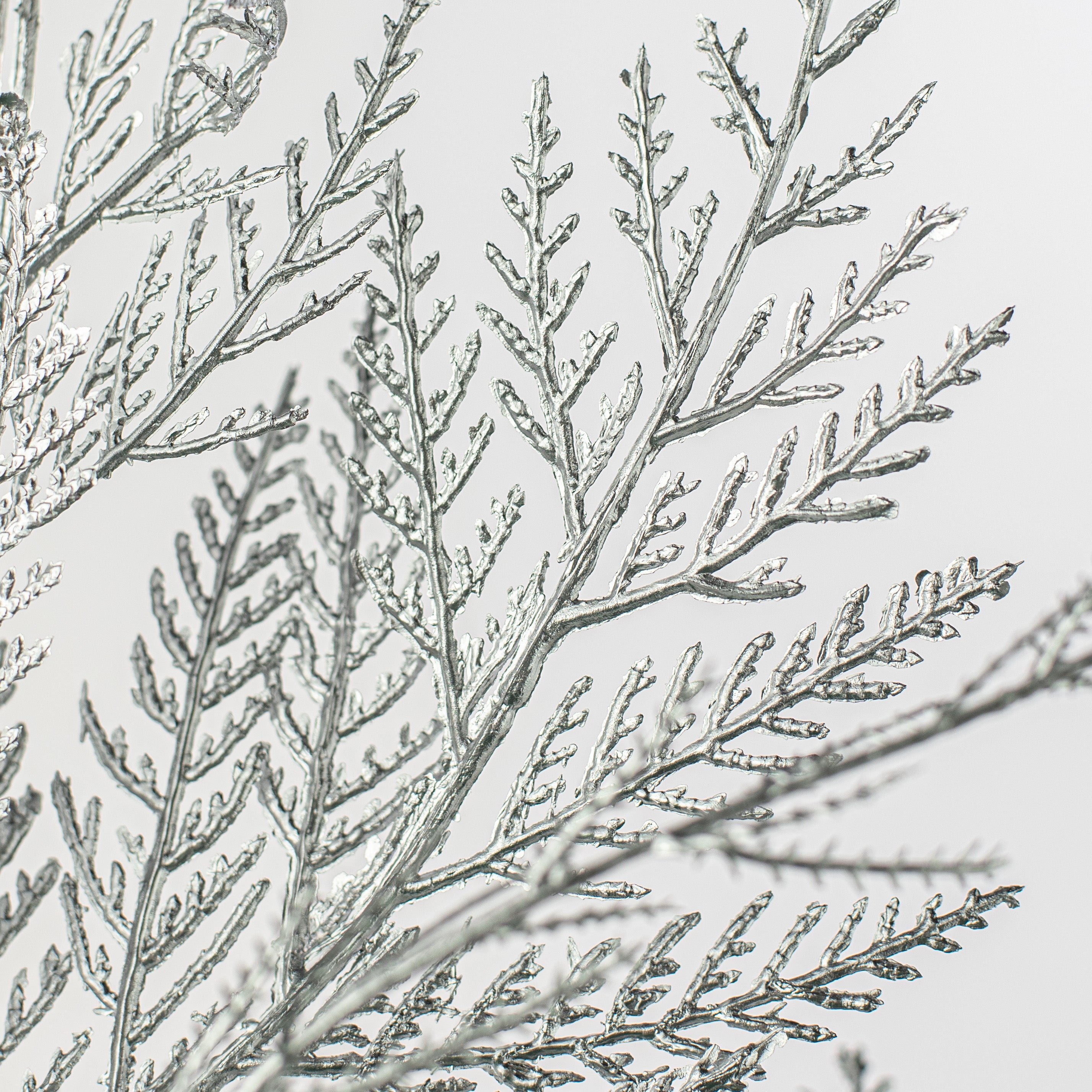 24" Incense Cedar Spray: Silver Lifestyle Photo