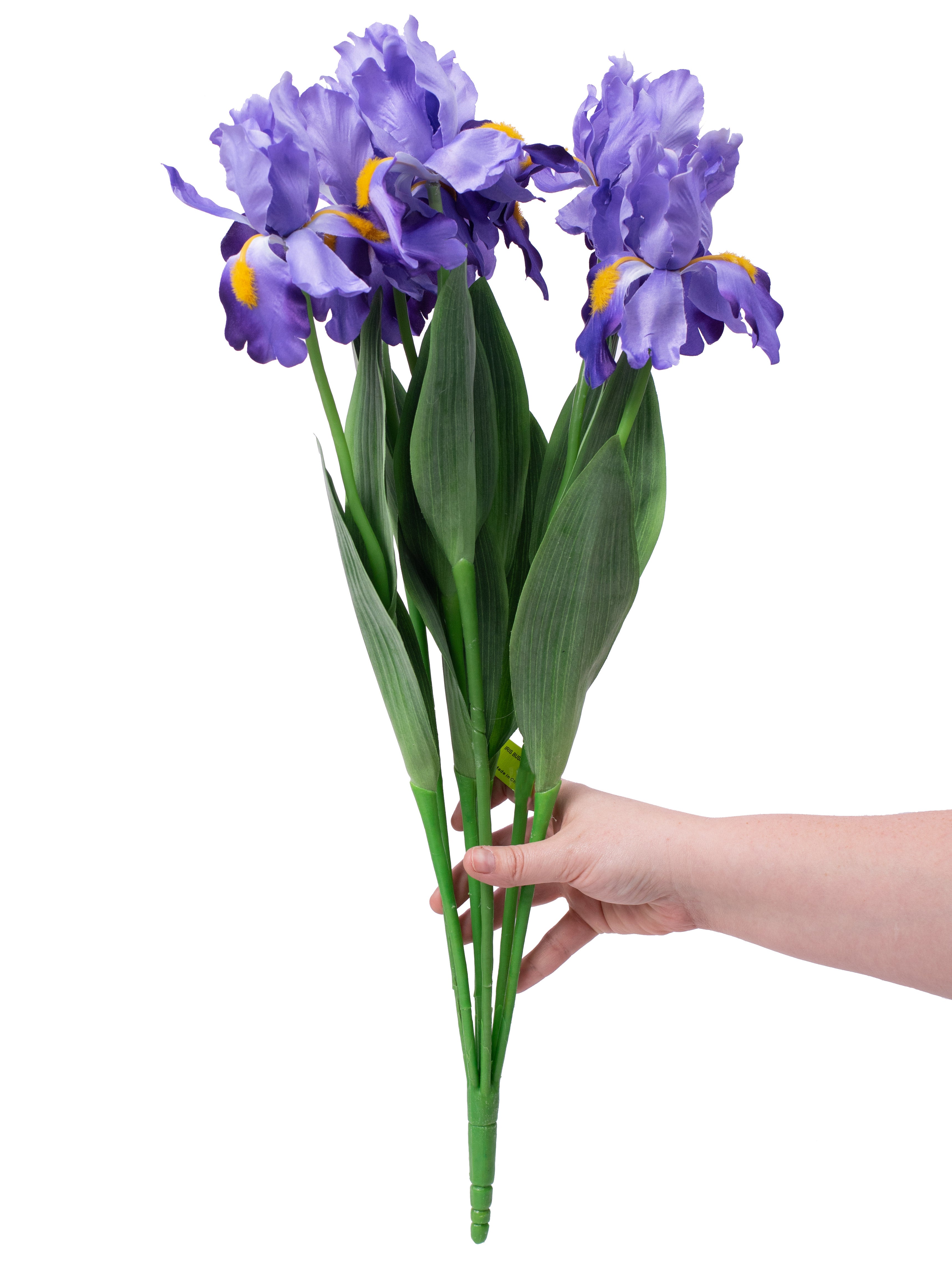 25" Iris Bush Lifestyle Photo