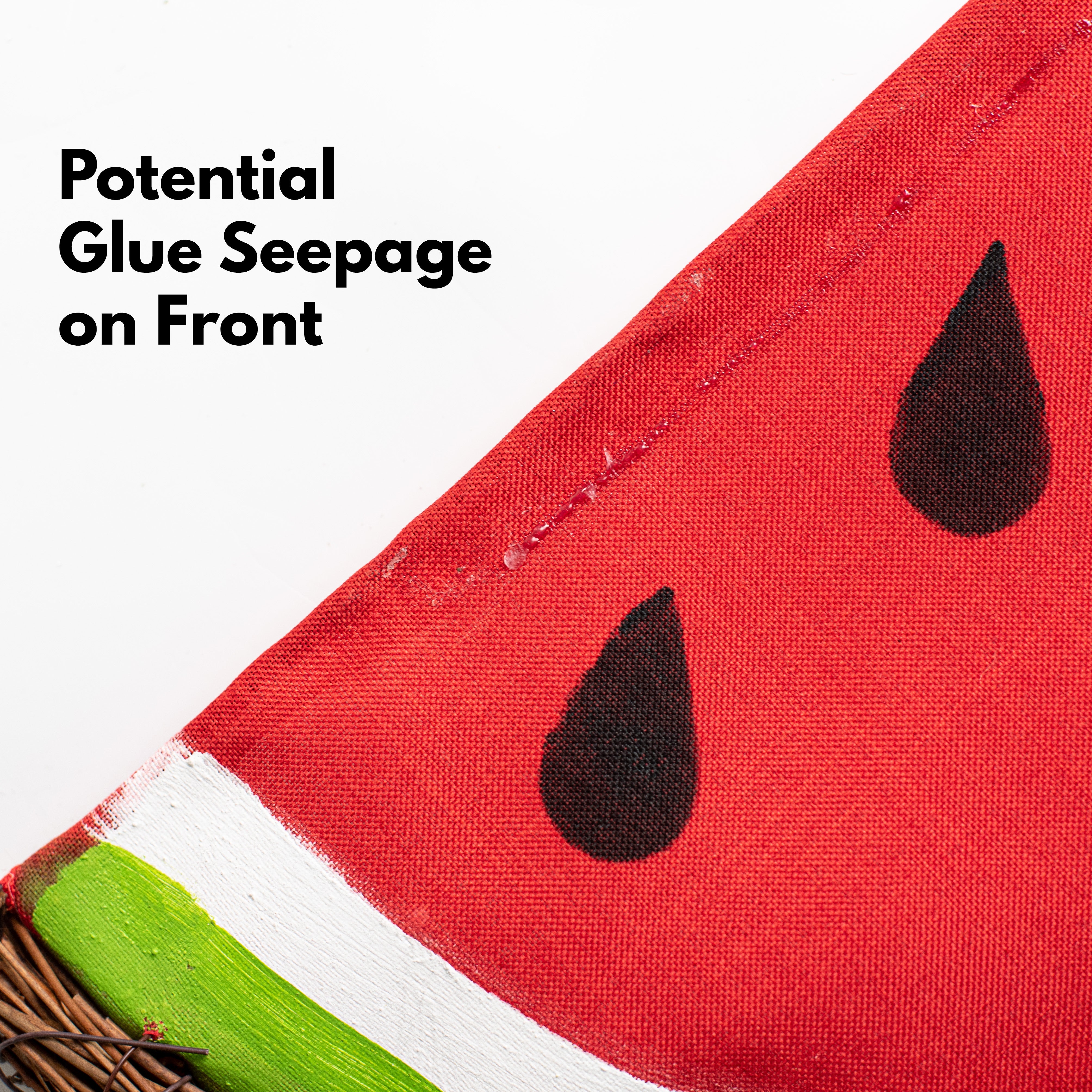 [IRREGULAR] 21" Grapevine Hanger: Watermelon Slice detail photo 3