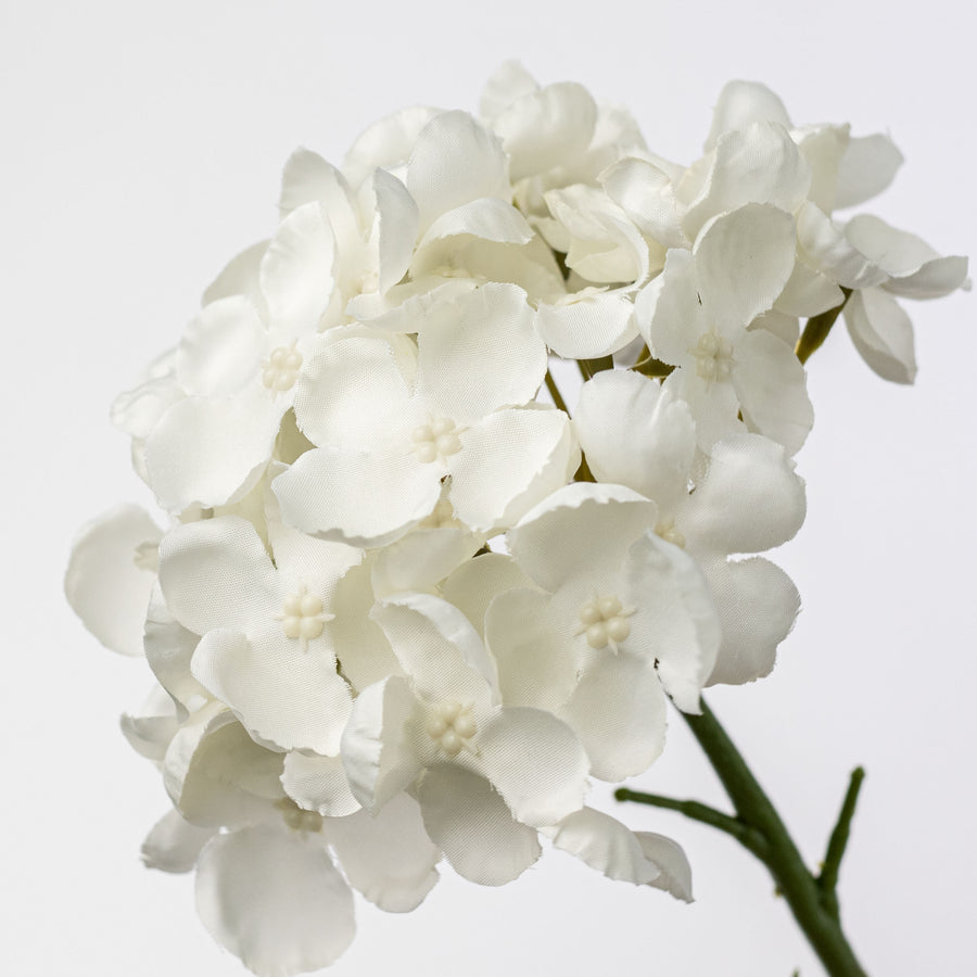 13" English Hydrangea Stem: Cream White