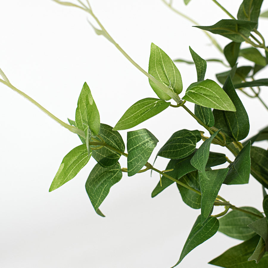 23" Jasmine Bush Lifestyle Photo