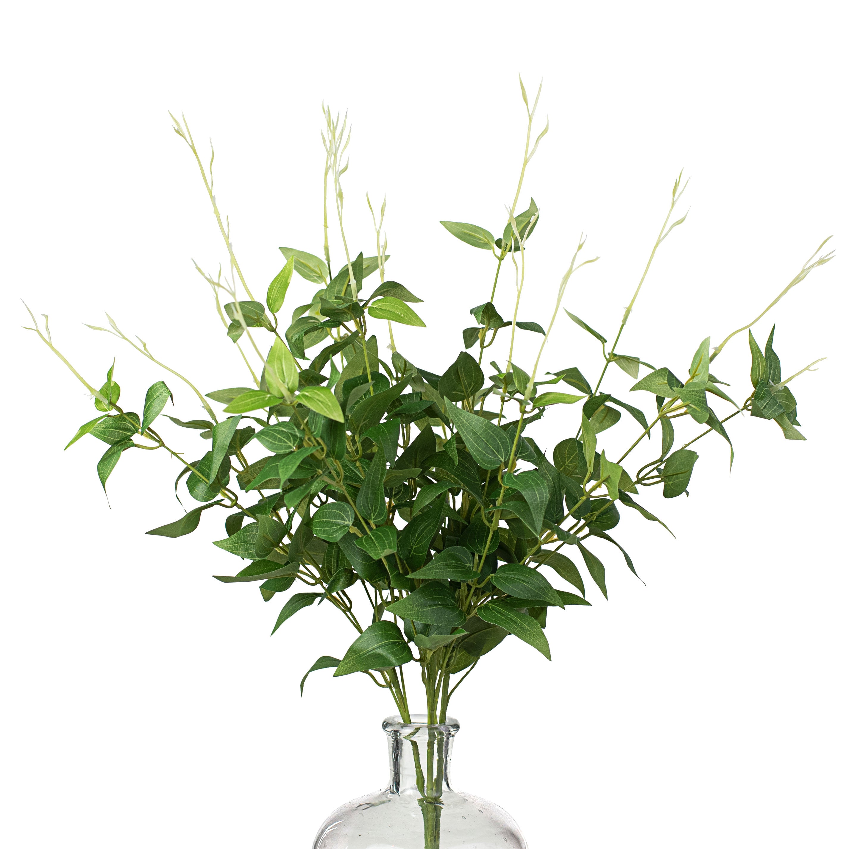 23" Jasmine Bush Item Number: 288197