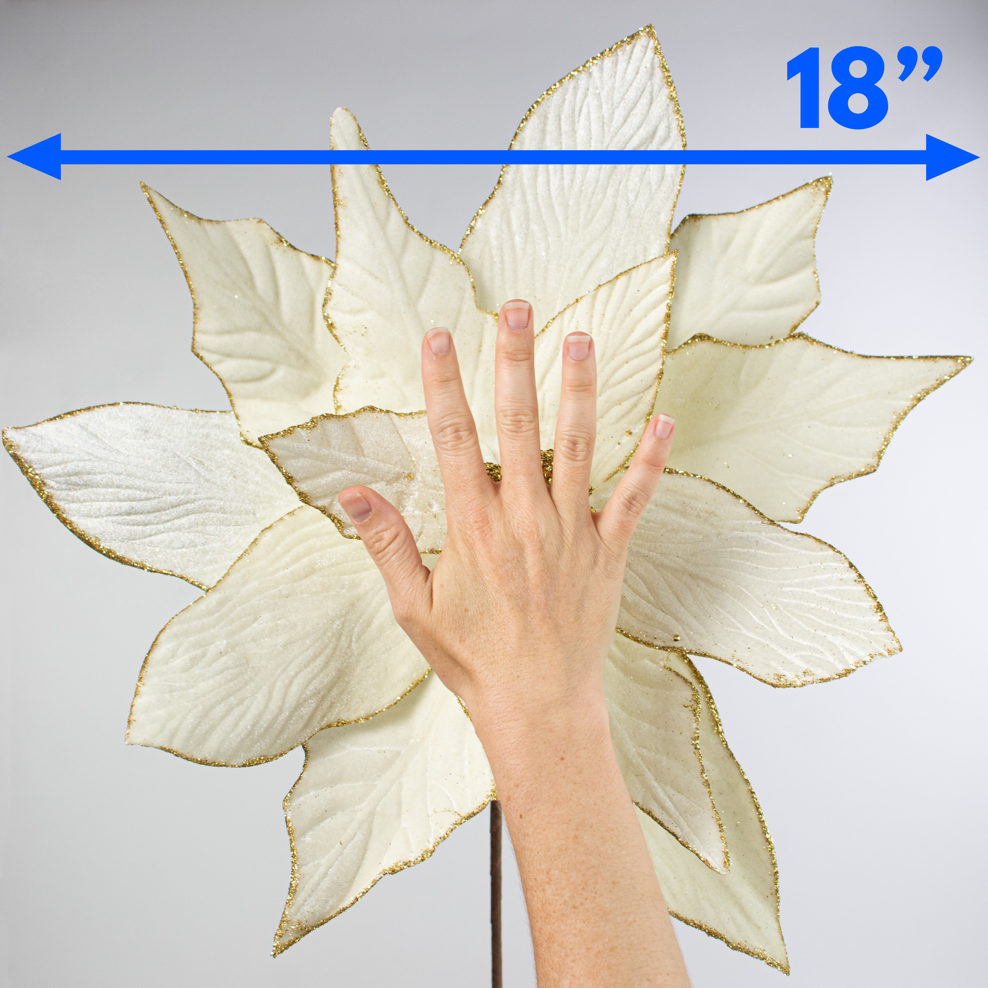 24" Jumbo Poinsettia Stem: Cream Lifestyle Photo