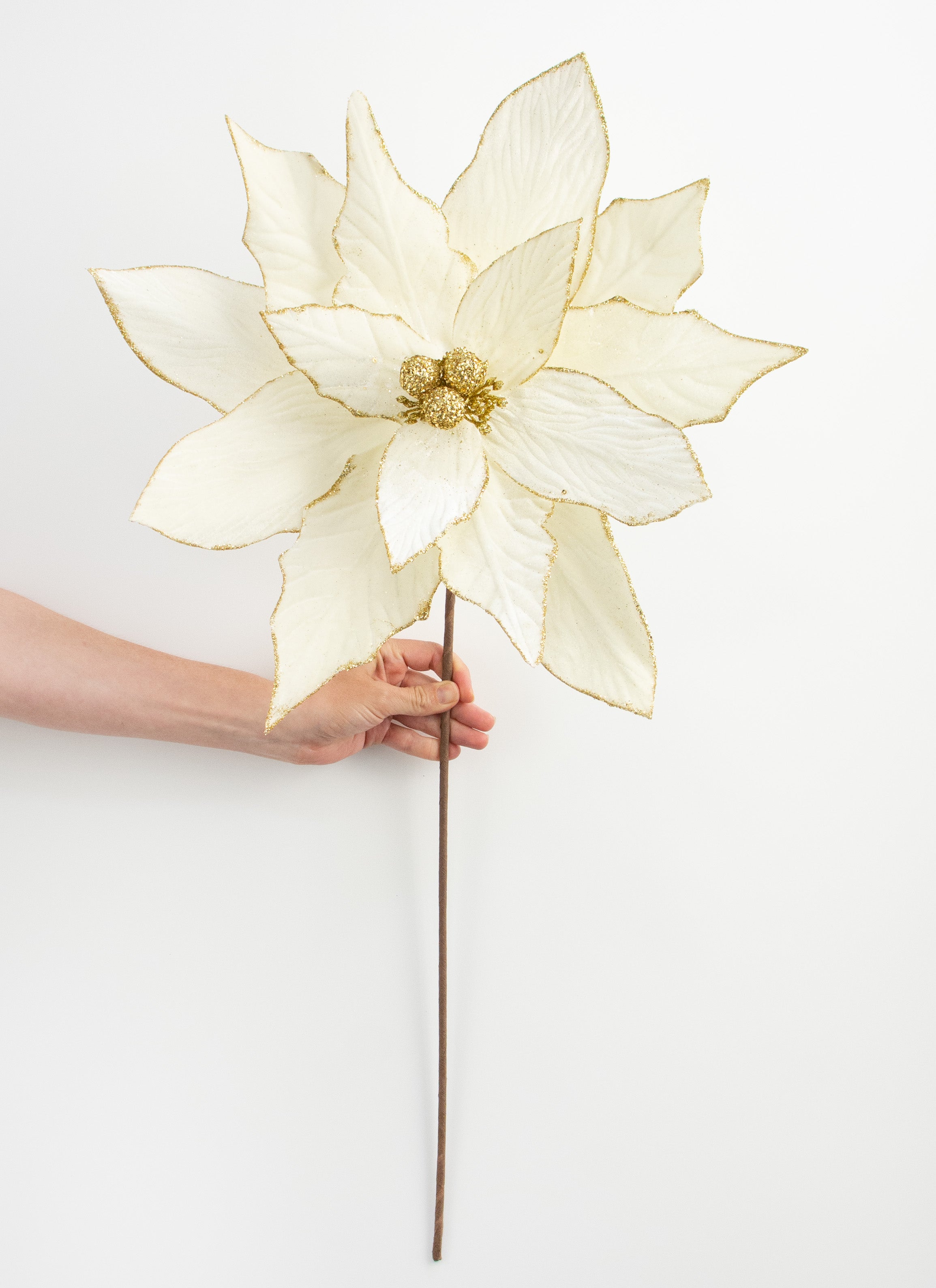 24" Jumbo Poinsettia Stem: Cream detail photo 3