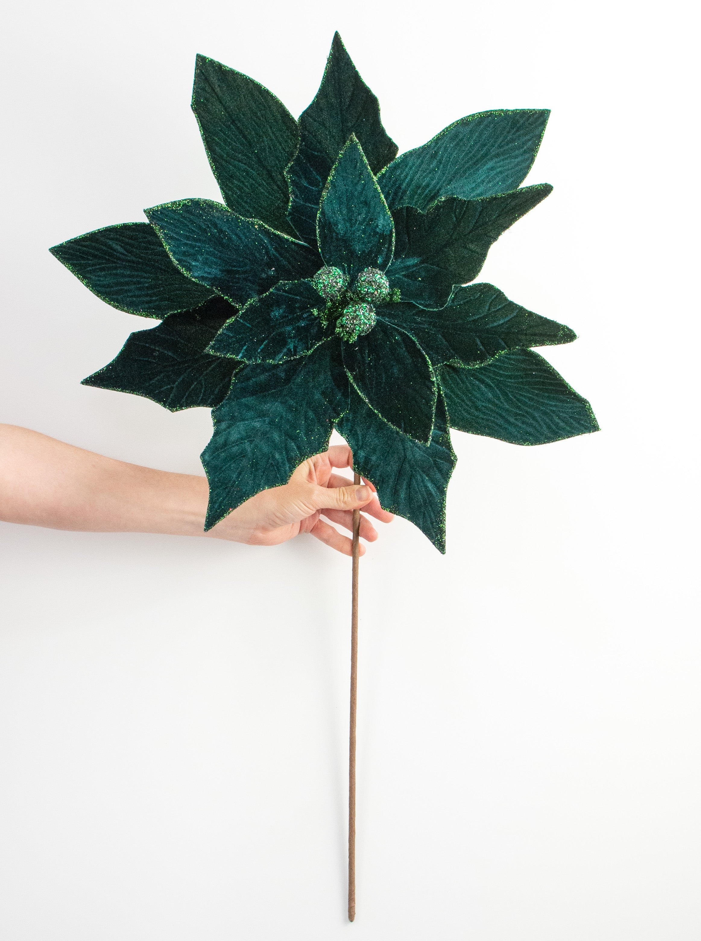 24" Jumbo Poinsettia Stem: Hunter Green detail photo 3