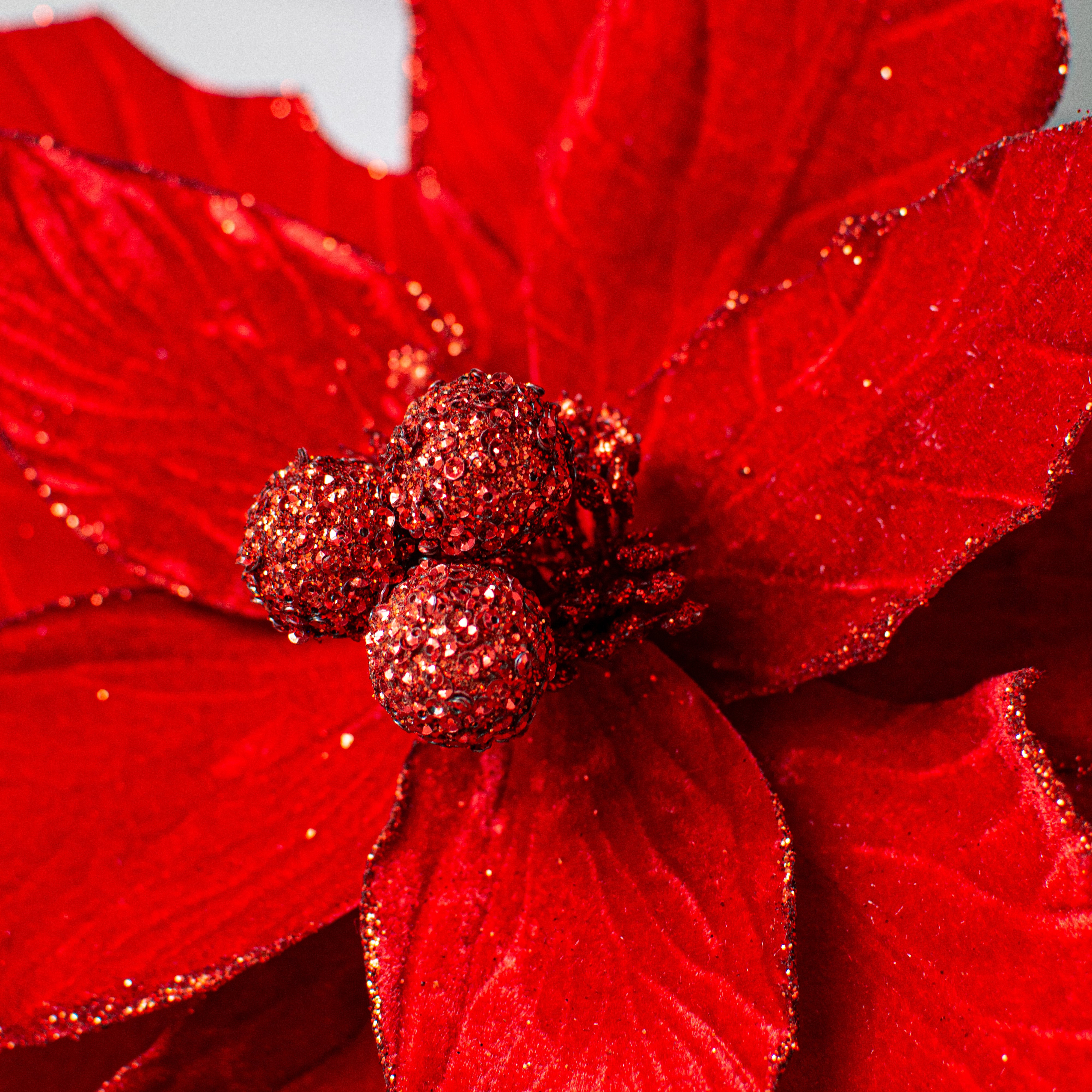 18" x 24" Jumbo Poinsettia Stem: Red detail photo 4
