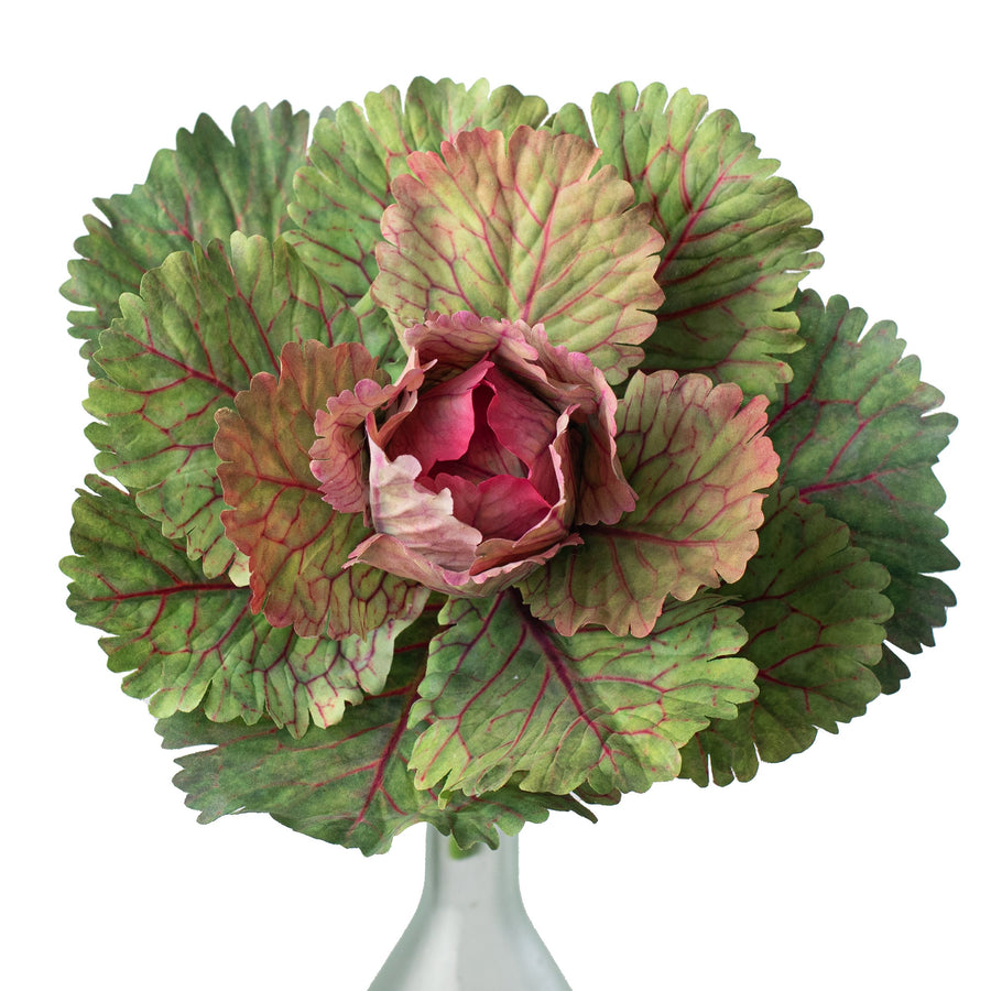 10" Kale Cabbage Plant Pick: Pink Item Number: 211515