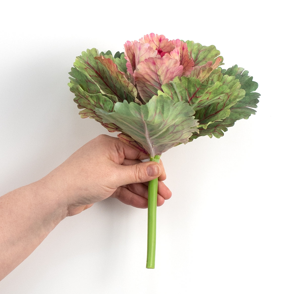 10" Kale Cabbage Plant Pick: Pink detail photo 3