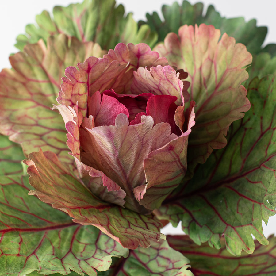 10" Kale Cabbage Plant Pick: Pink detail photo 4