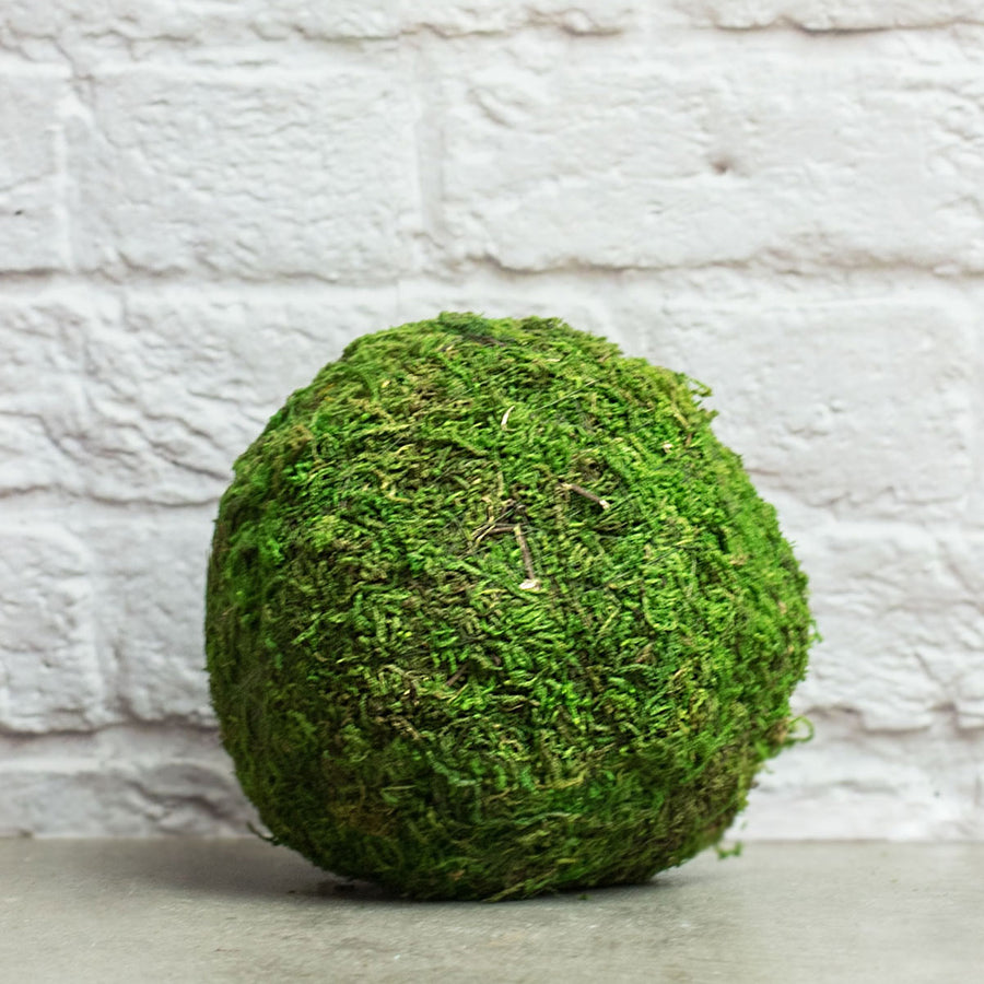 5" Green Moss Ball