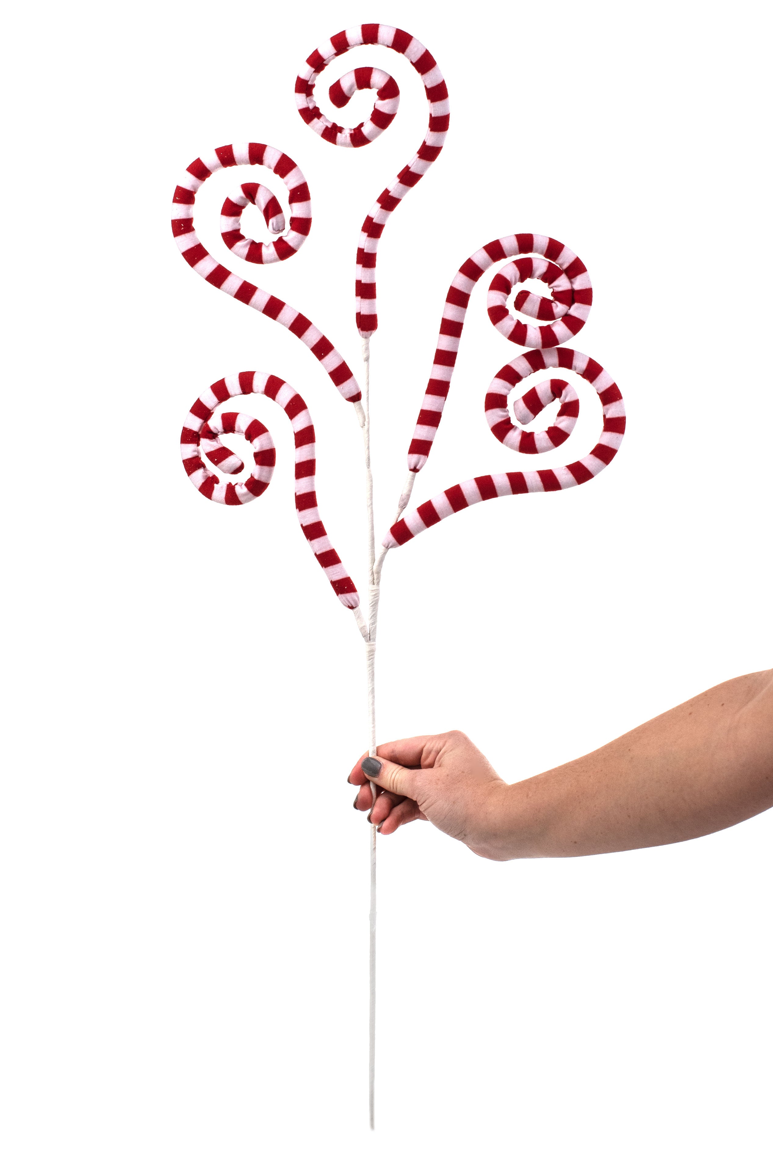 30" Knit Fabric Peppermint Spiral Curly Spray: Red & White detail photo 3
