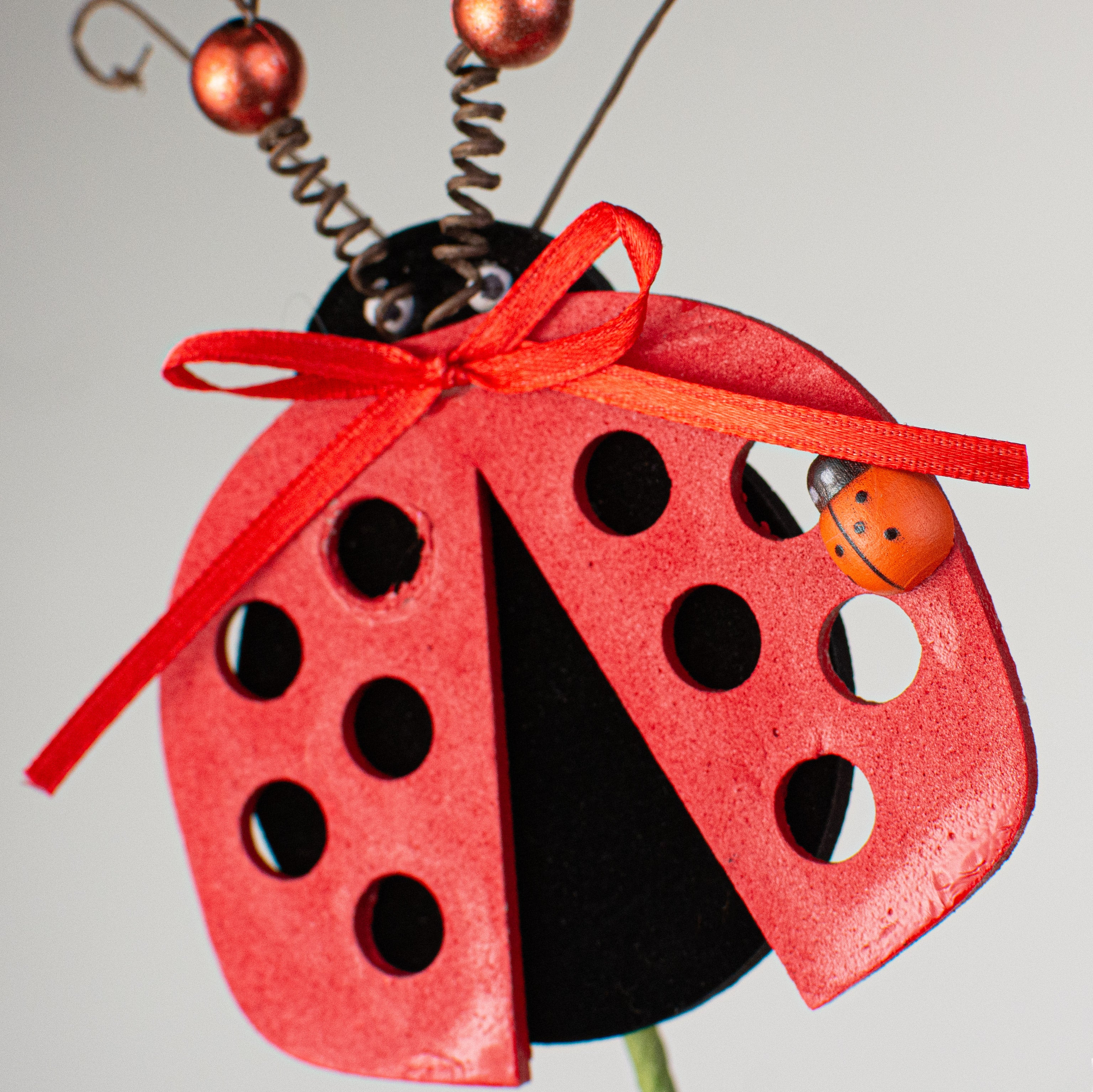 24" Lady Bug Spray Lifestyle Photo