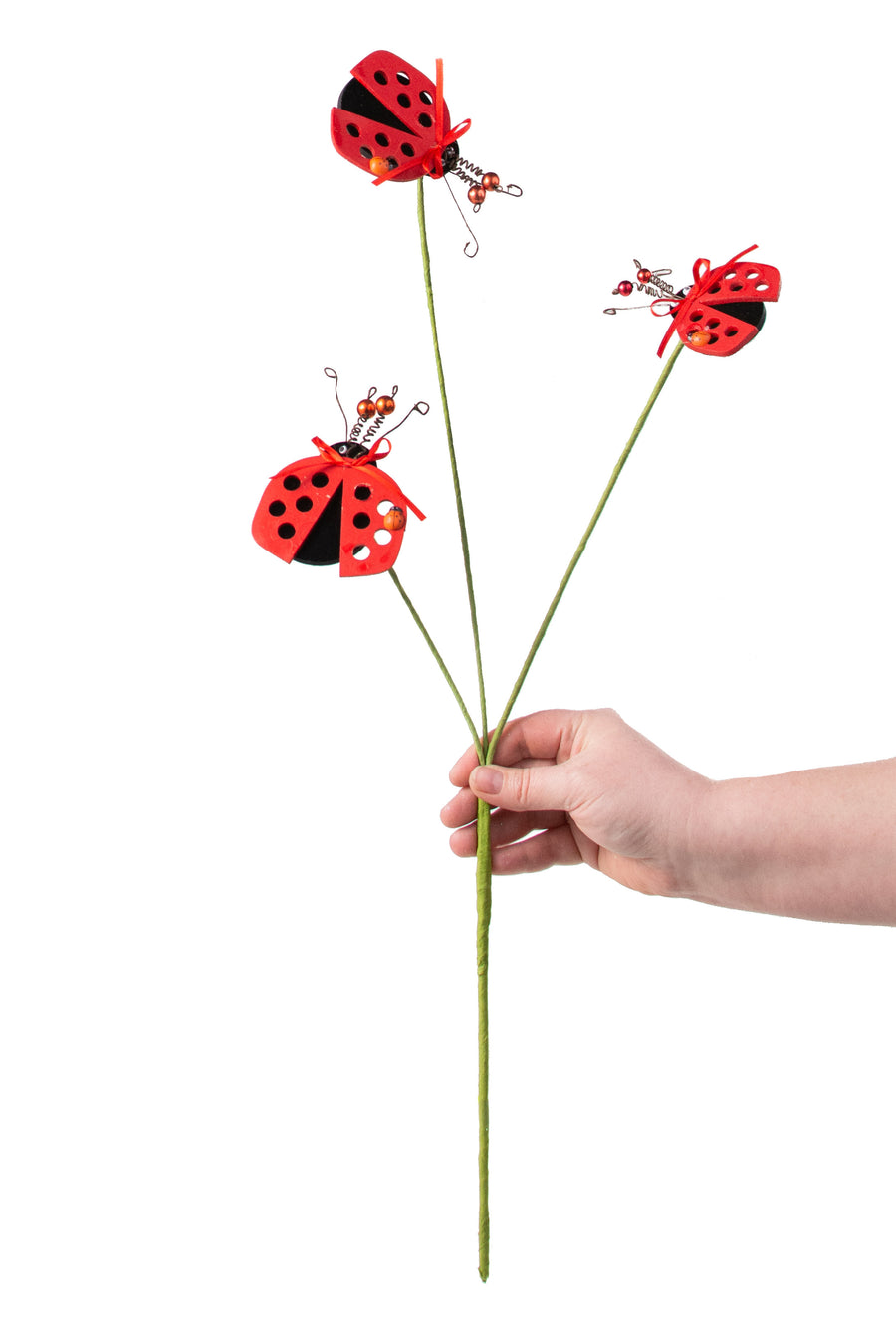 24" Lady Bug Spray detail photo 3