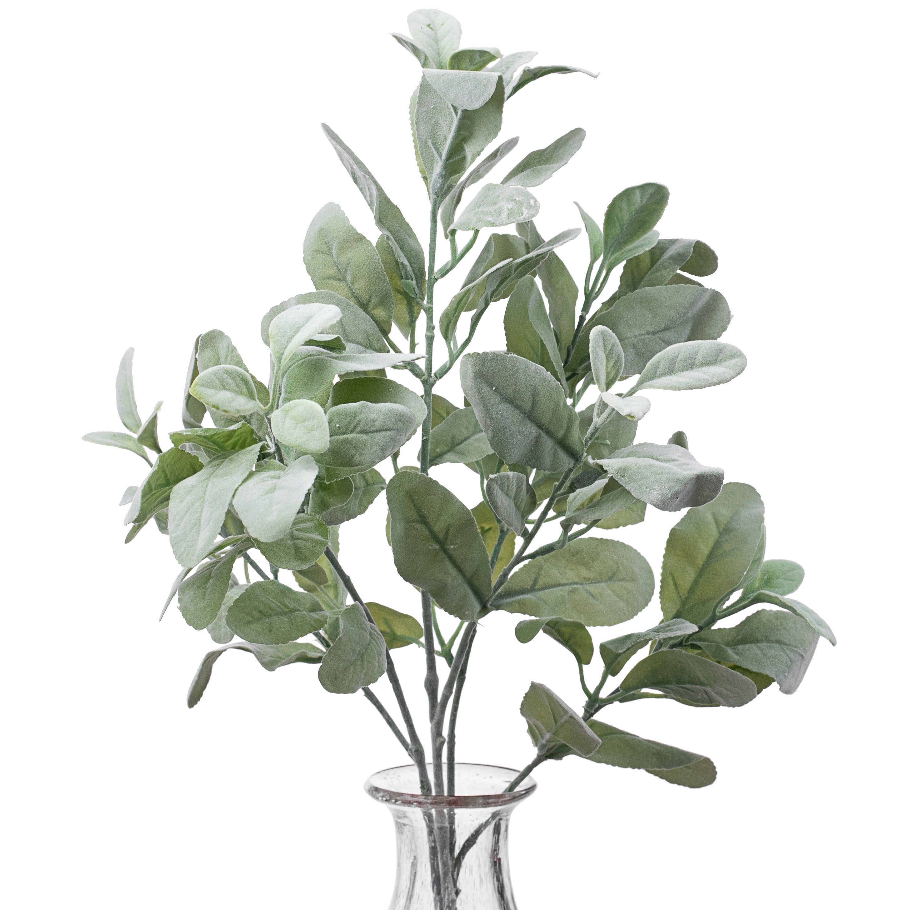 23" Lamb's Ear Bush Item Number: 13388GN