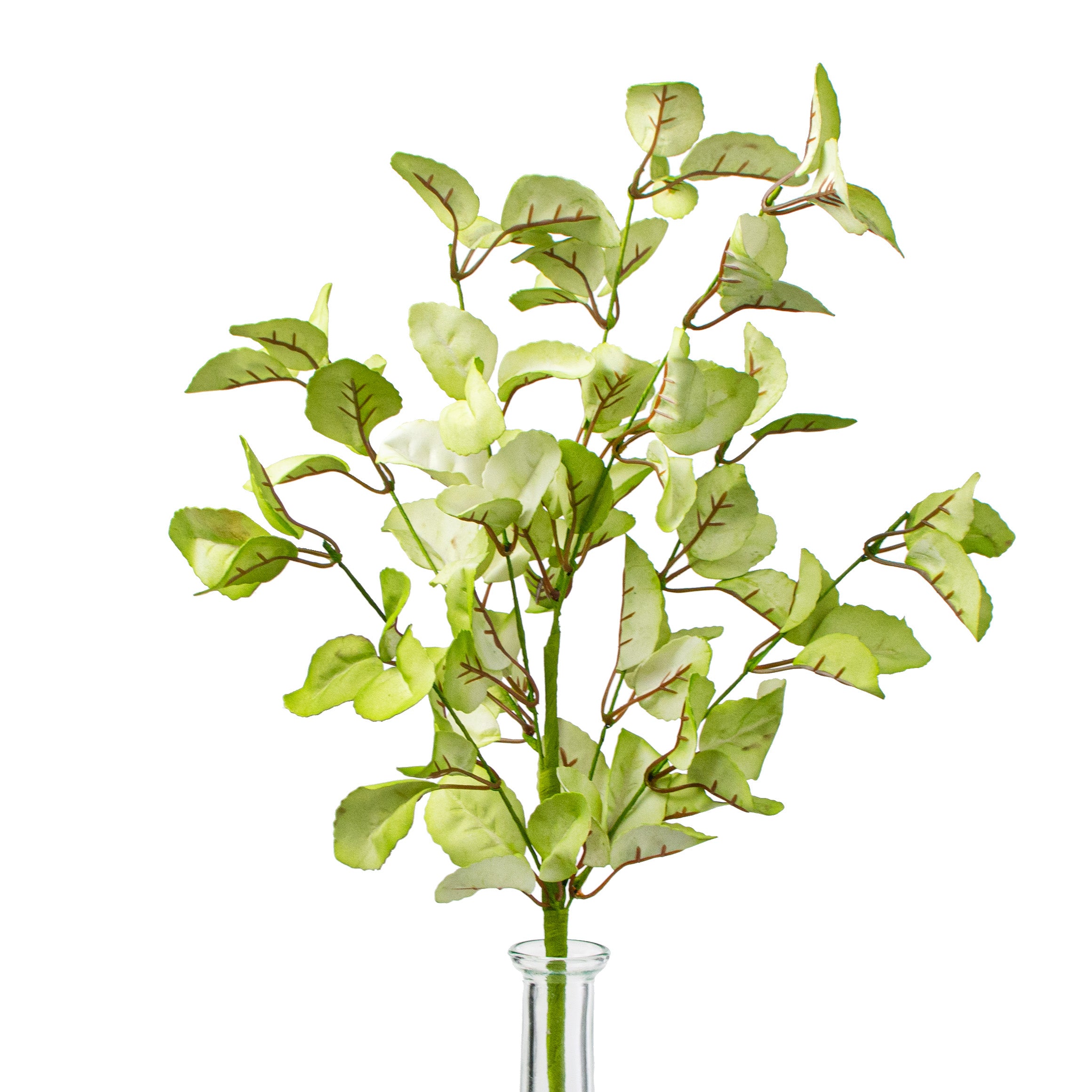 19" Lamb's Ear Leaf Spray: Lime Green Item Number: FG571931