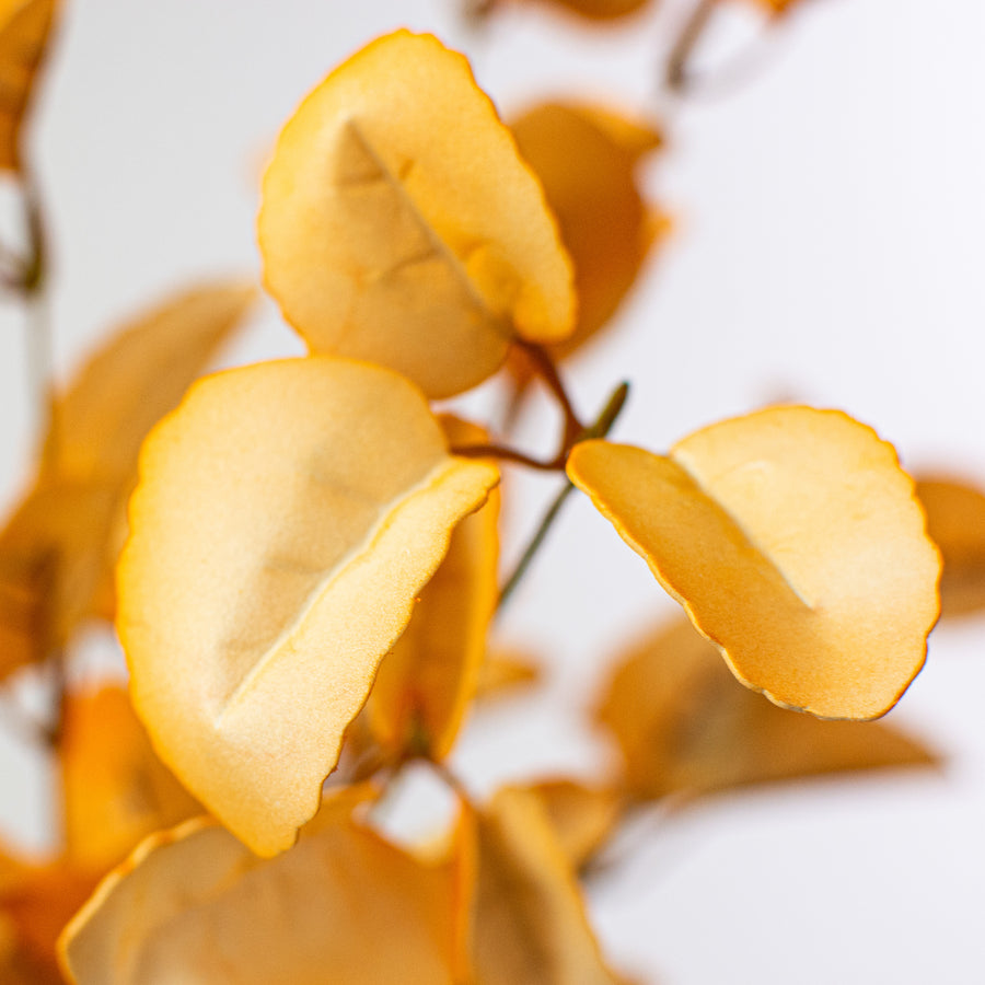 19" Lamb's Ear Leaf Spray: Peach Lifestyle Photo