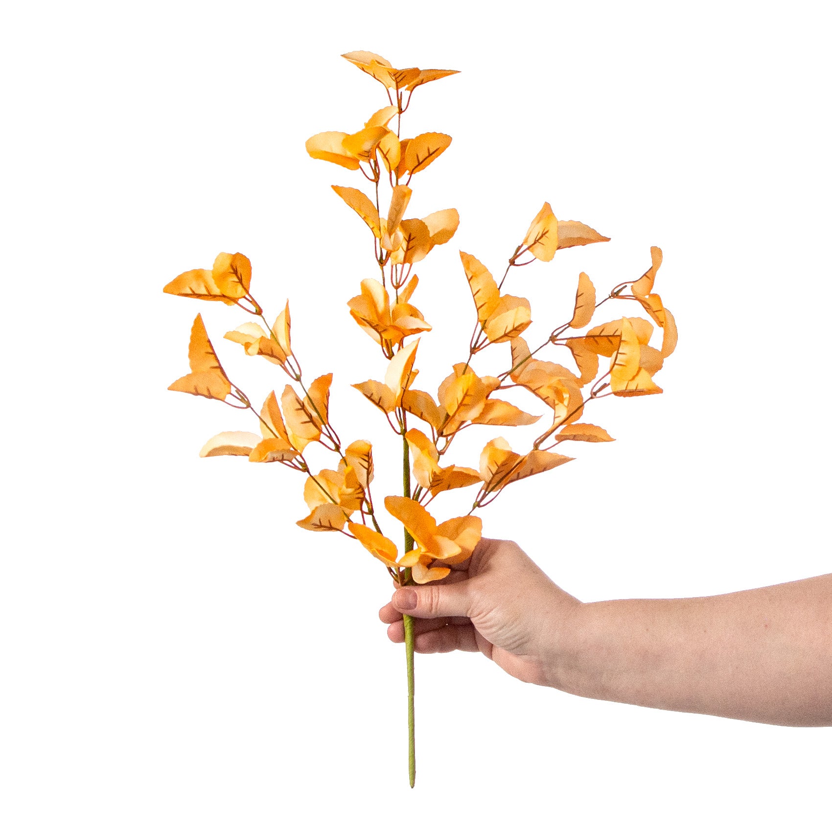 19" Lamb's Ear Leaf Spray: Peach detail photo 3