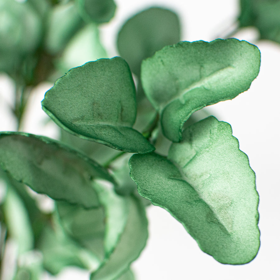 19" Lamb's Ear Leaf Spray: Willow Green Lifestyle Photo