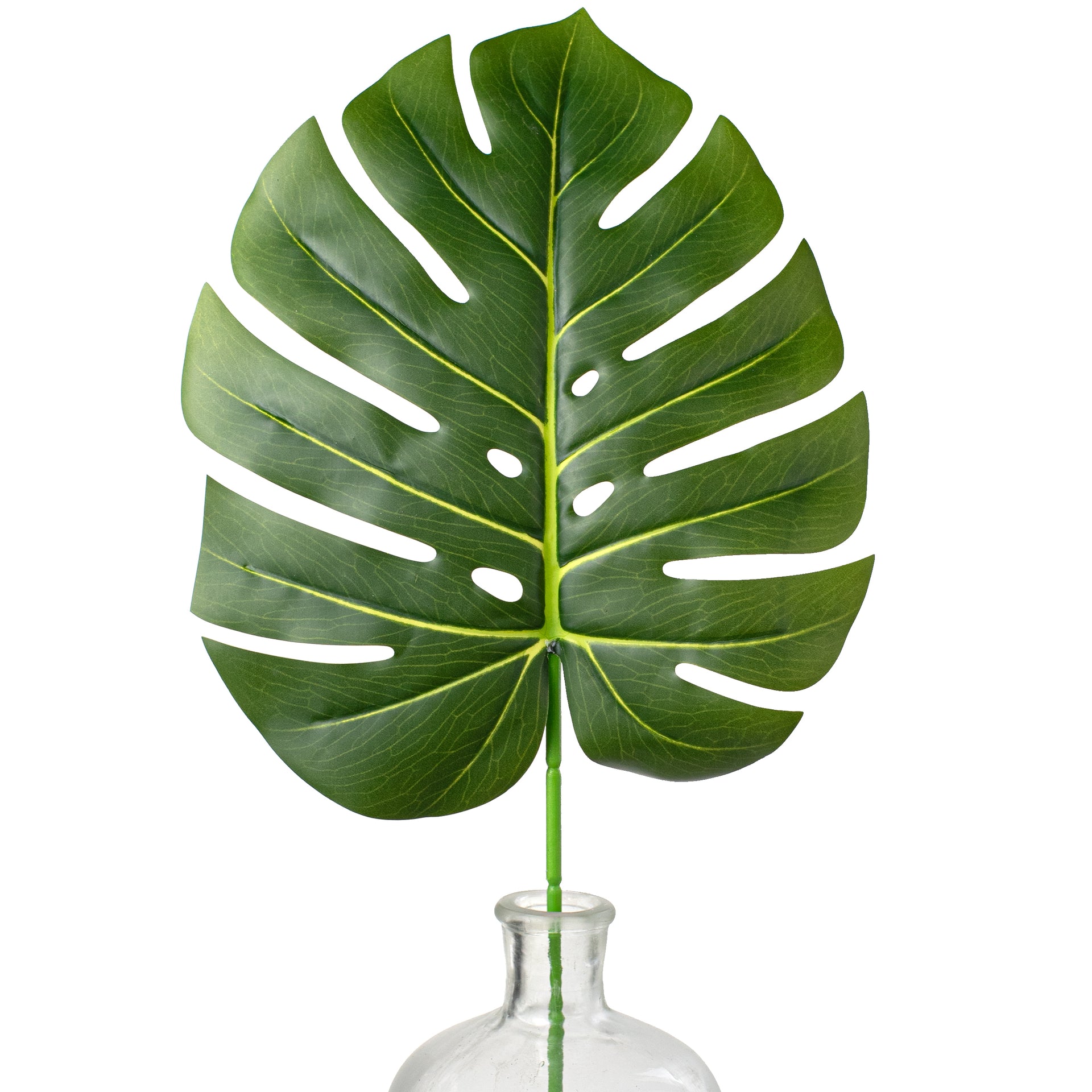 monstera lead 30" Large Monstera Leaf Stem