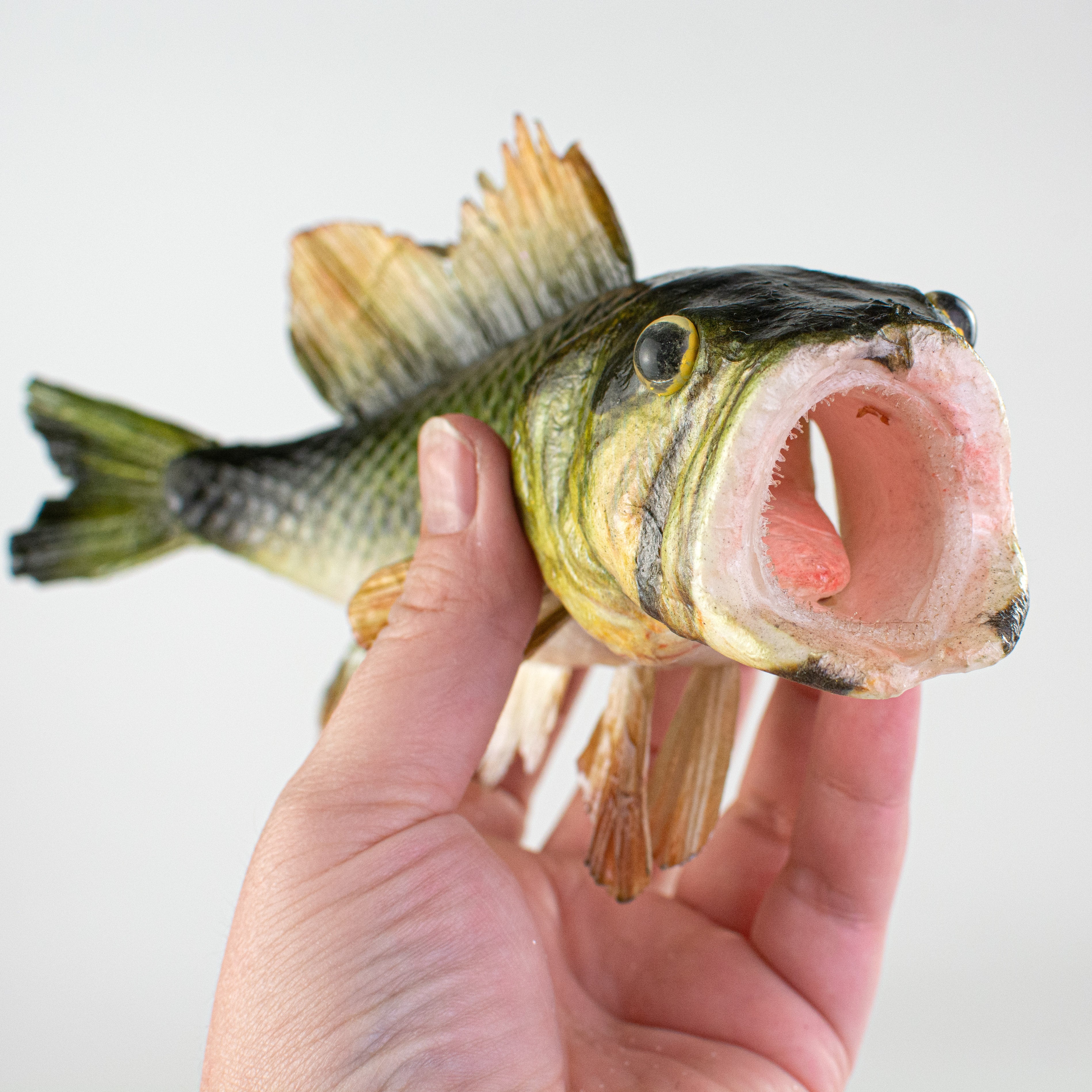 8.25" Largemouth Bass Ornament detail photo 3